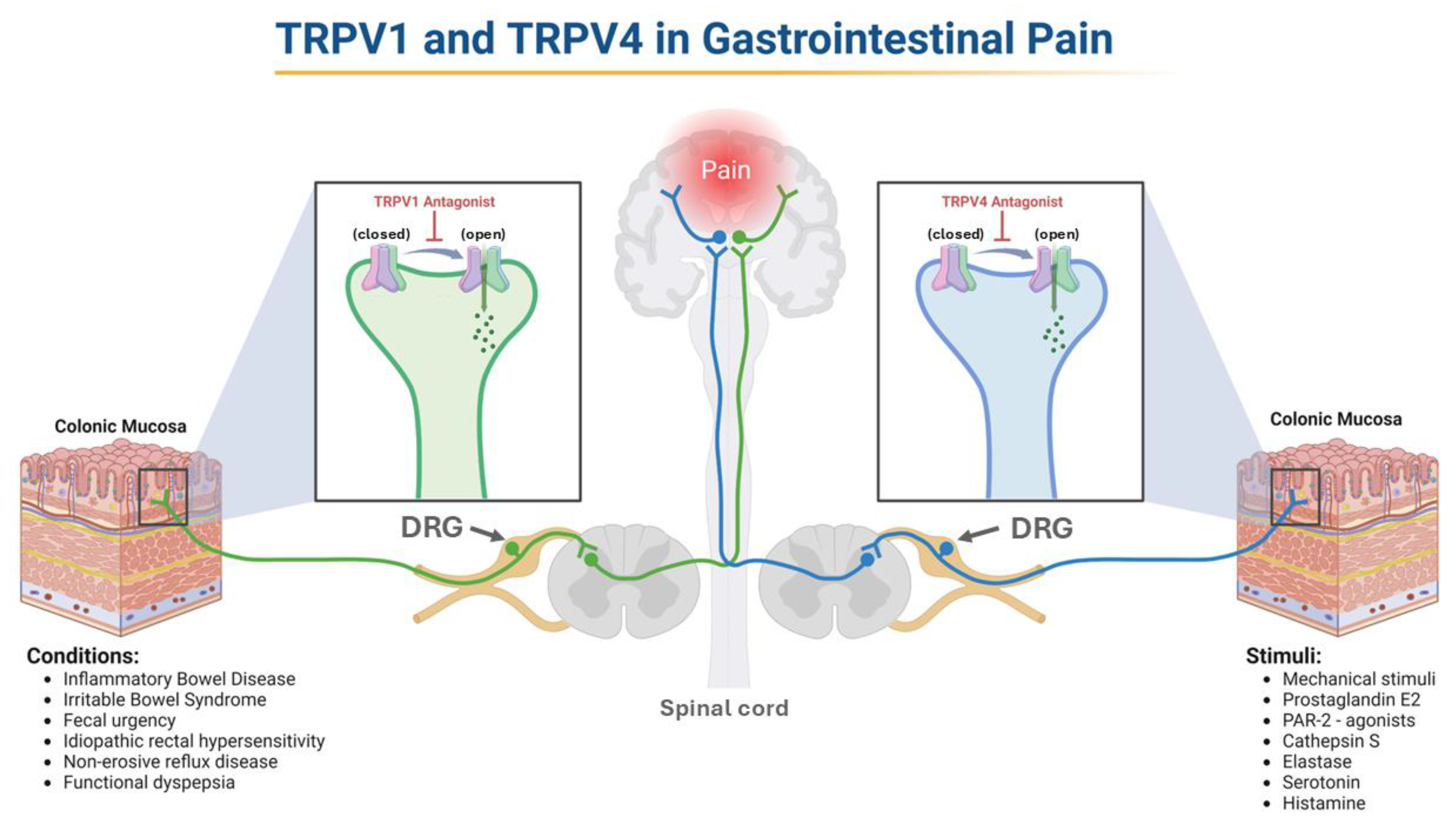Preprints 176475 g003