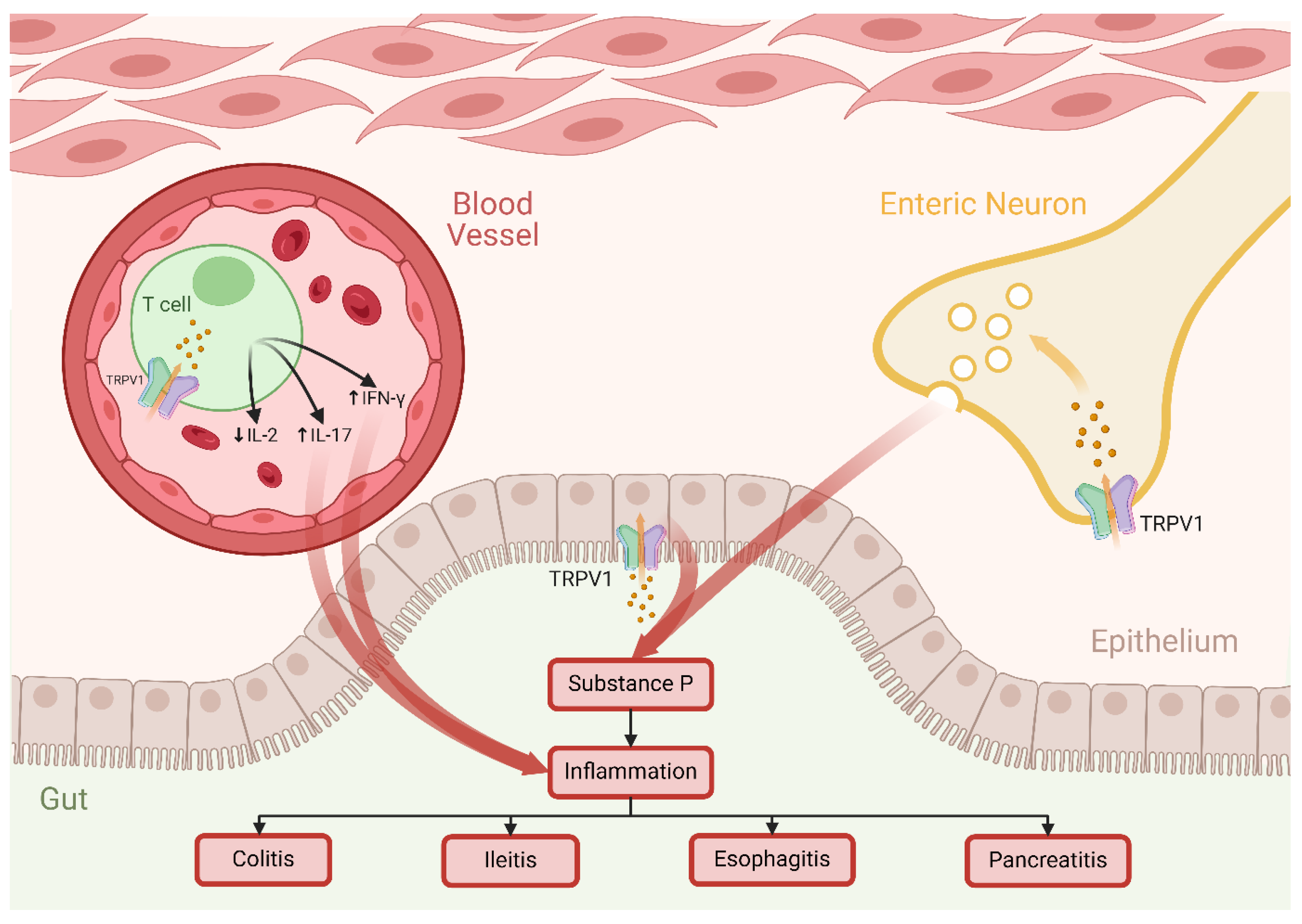 Preprints 176475 g005