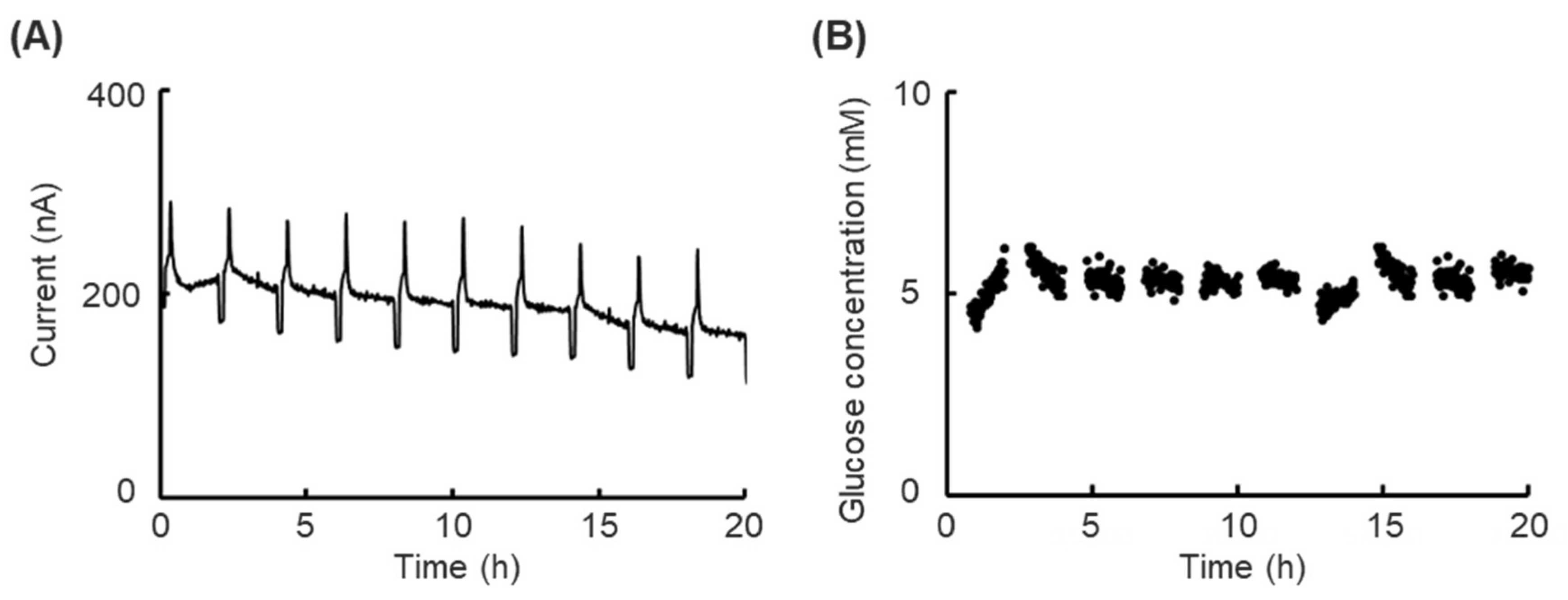 Preprints 155177 g004