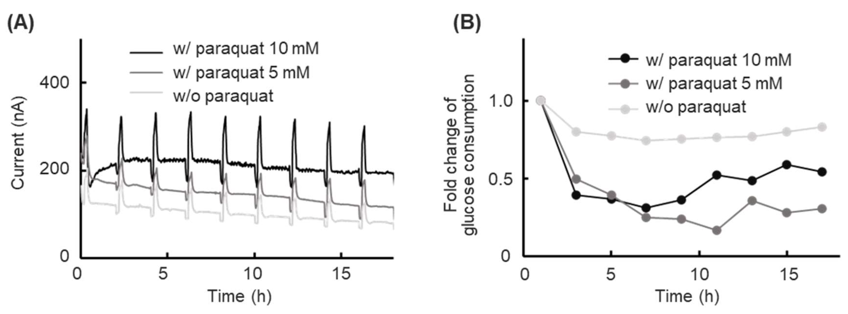 Preprints 155177 g005