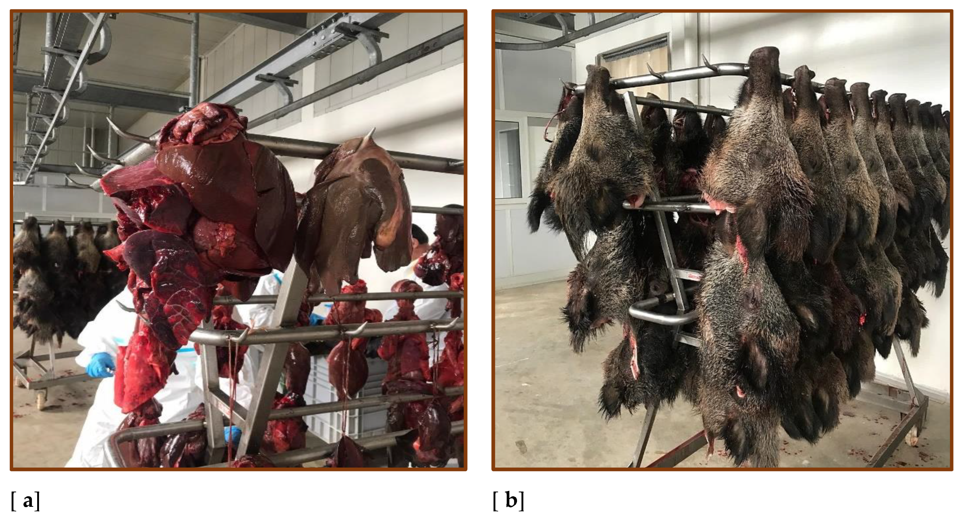 Preprints 196468 g002