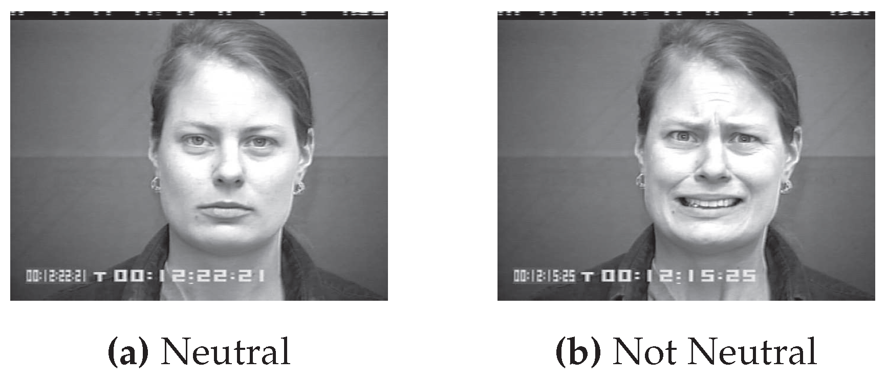 Preprints 88343 g001