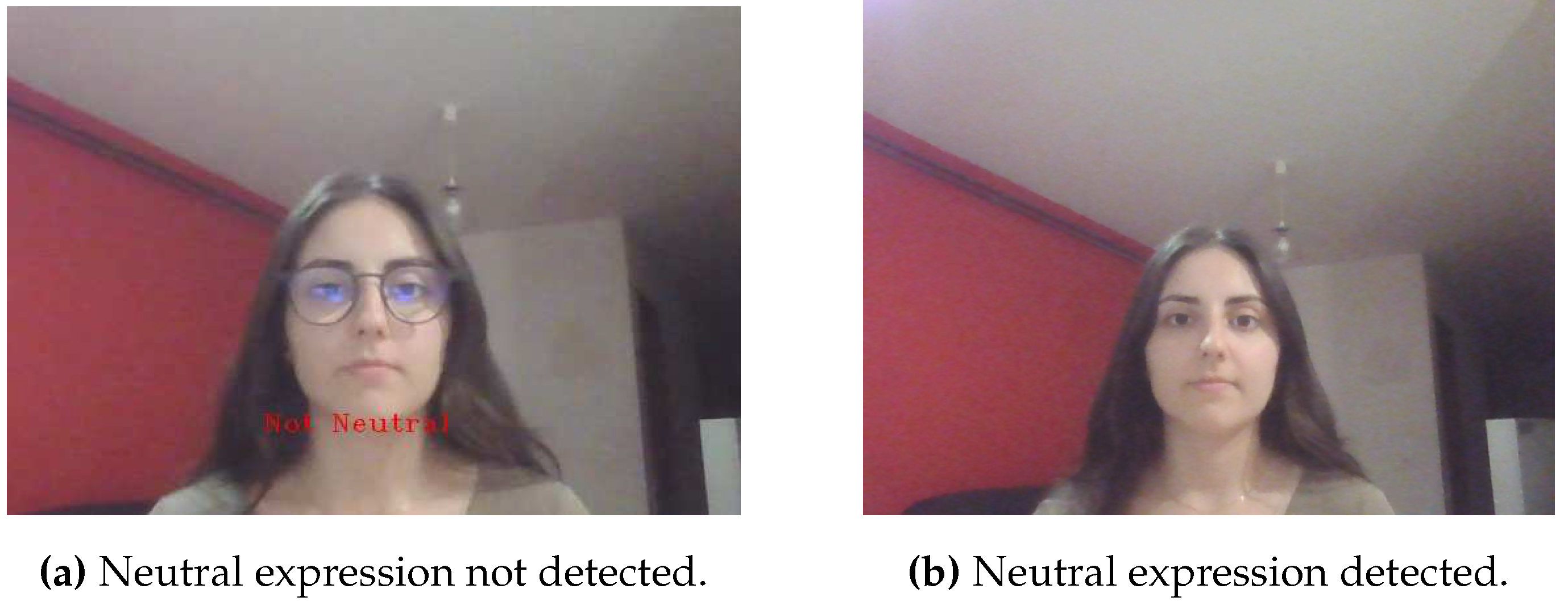 Preprints 88343 g013