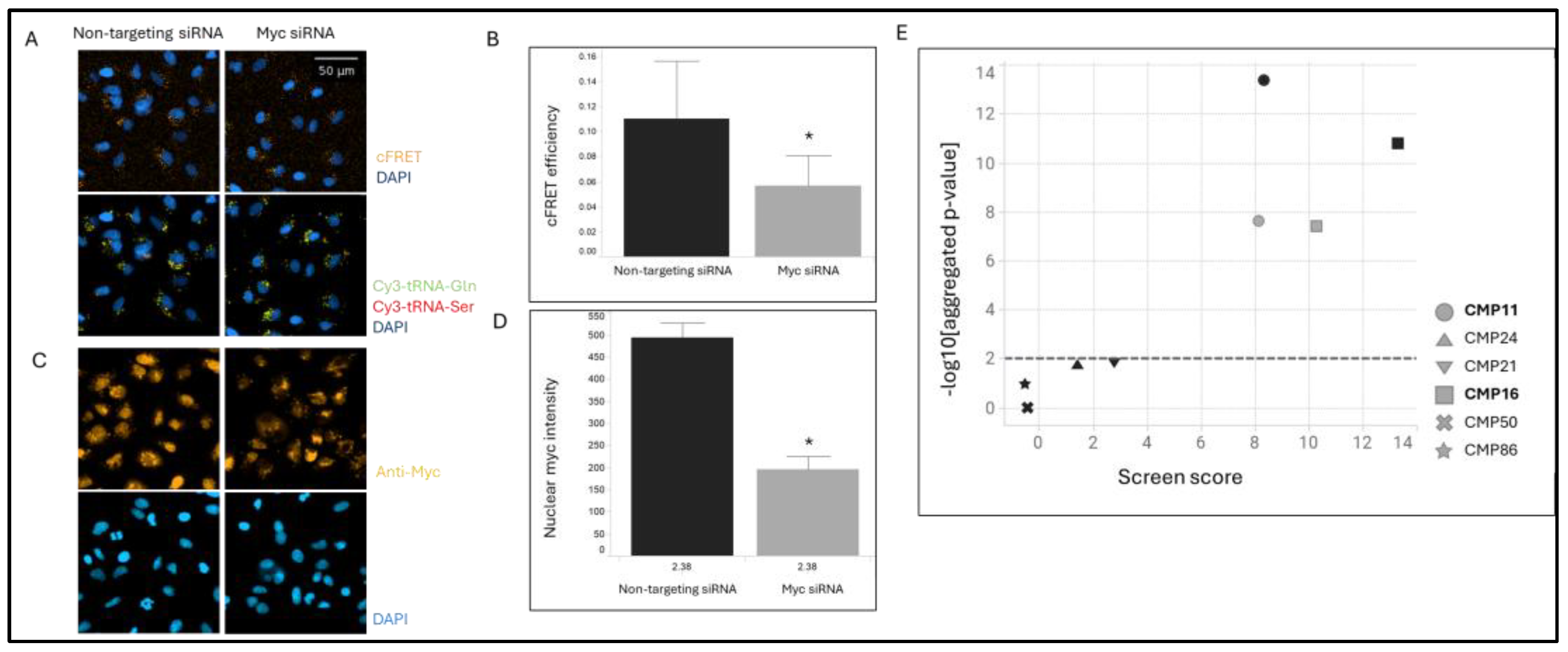 Preprints 169597 g001