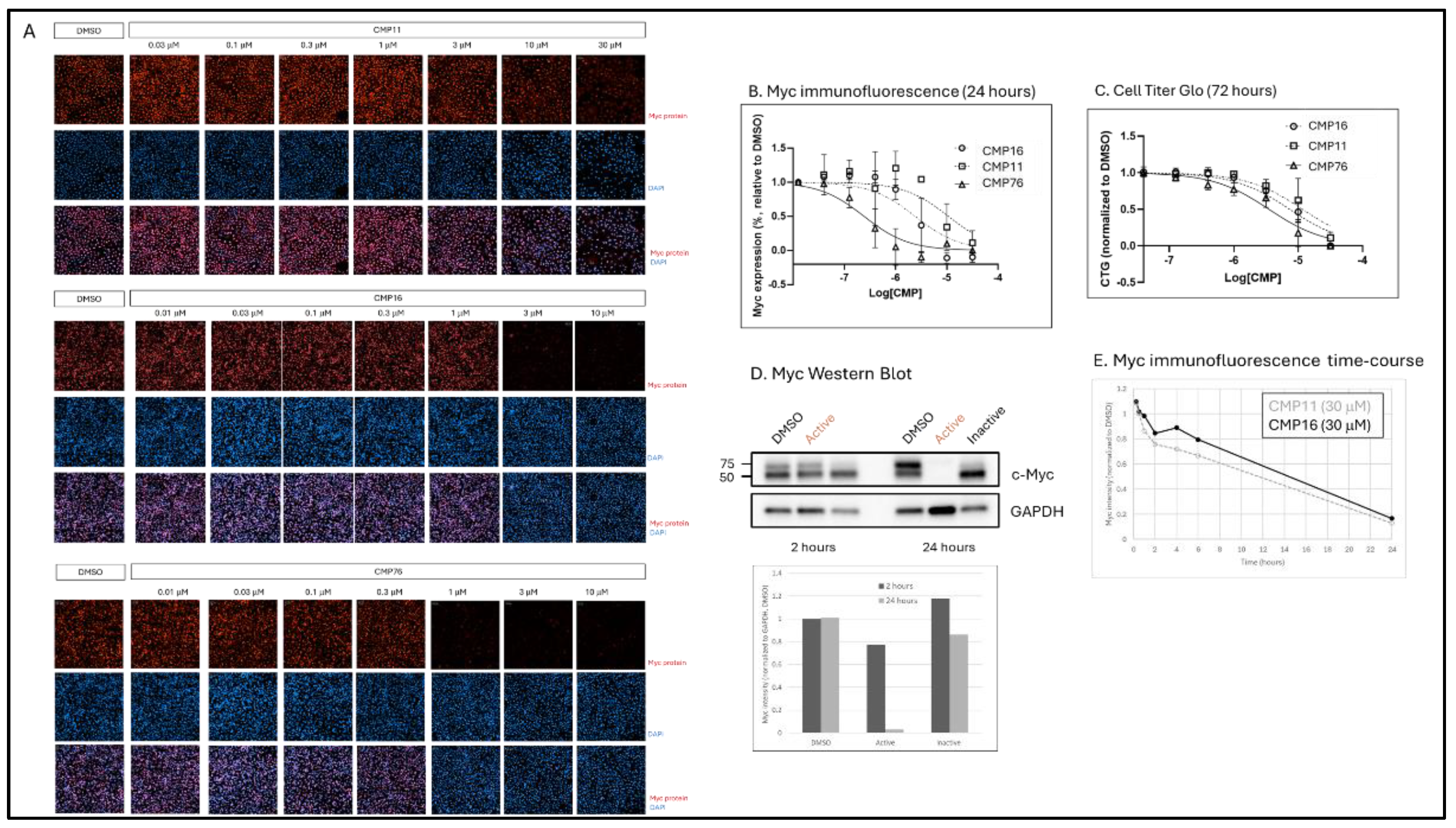 Preprints 169597 g002
