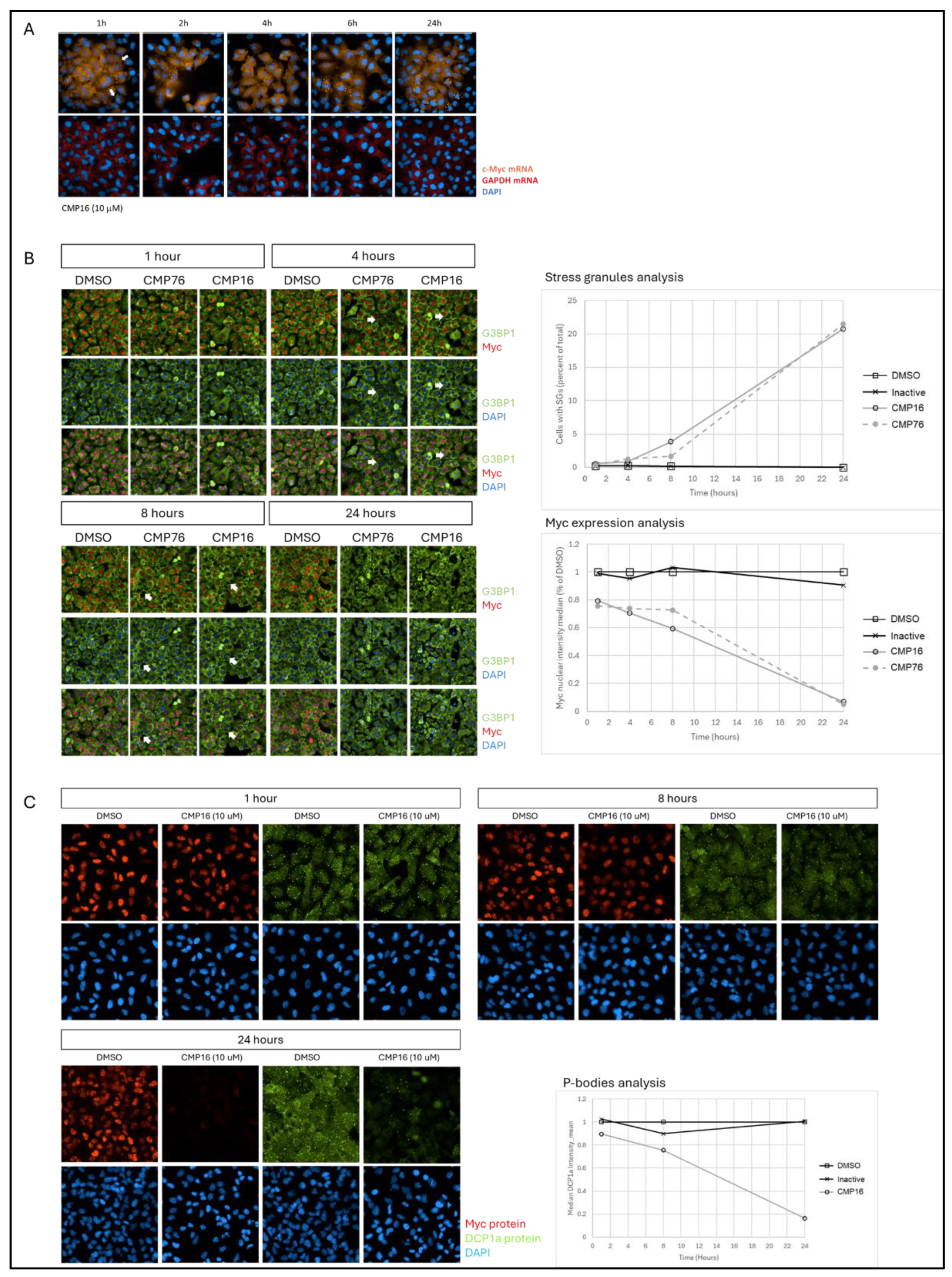 Preprints 169597 g003