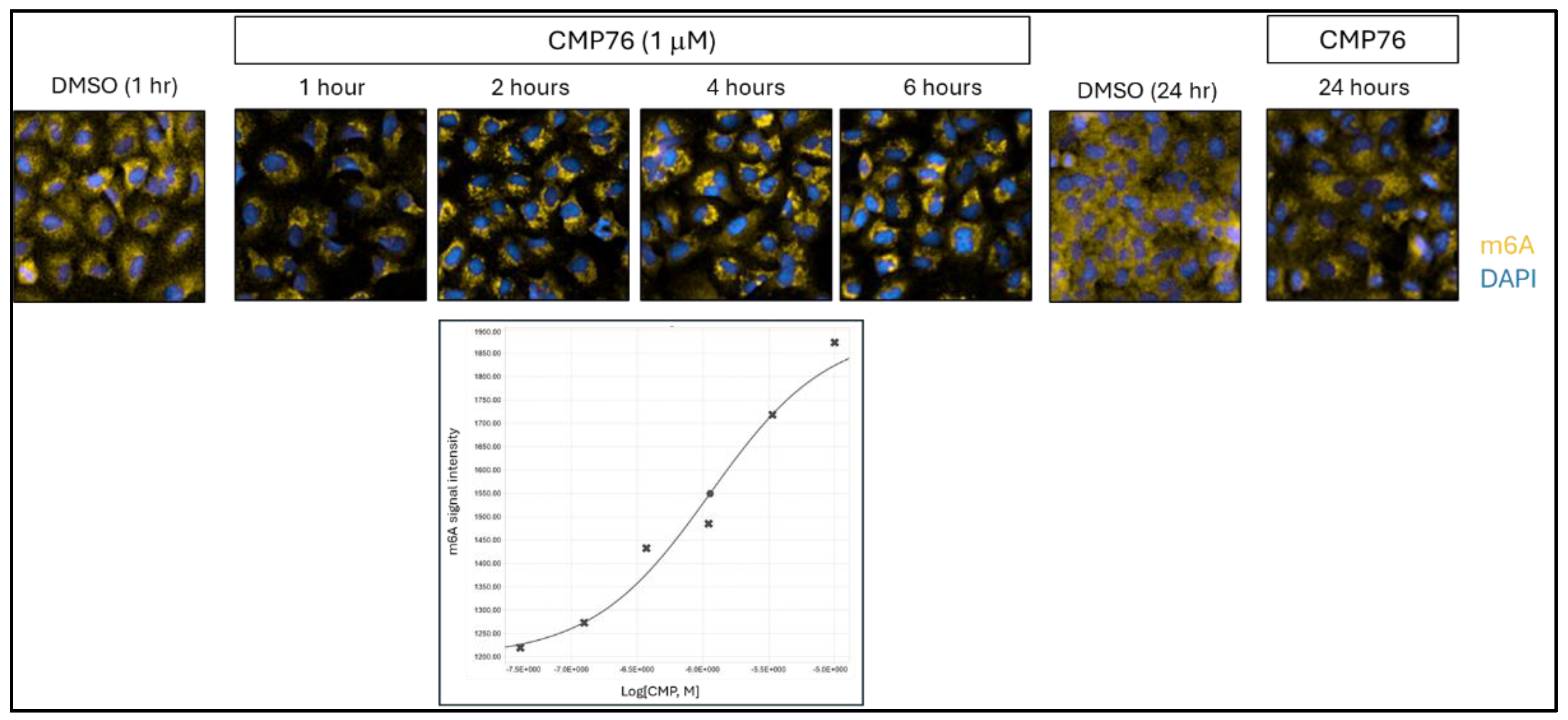 Preprints 169597 g004