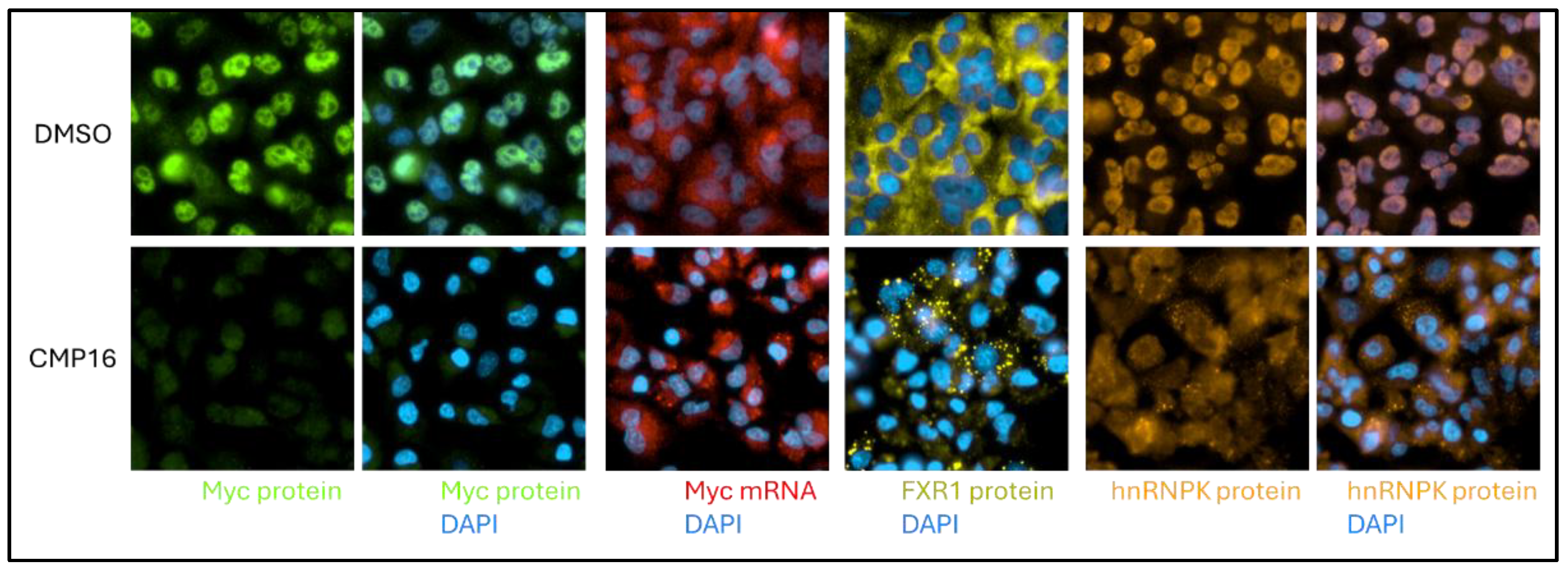 Preprints 169597 g008
