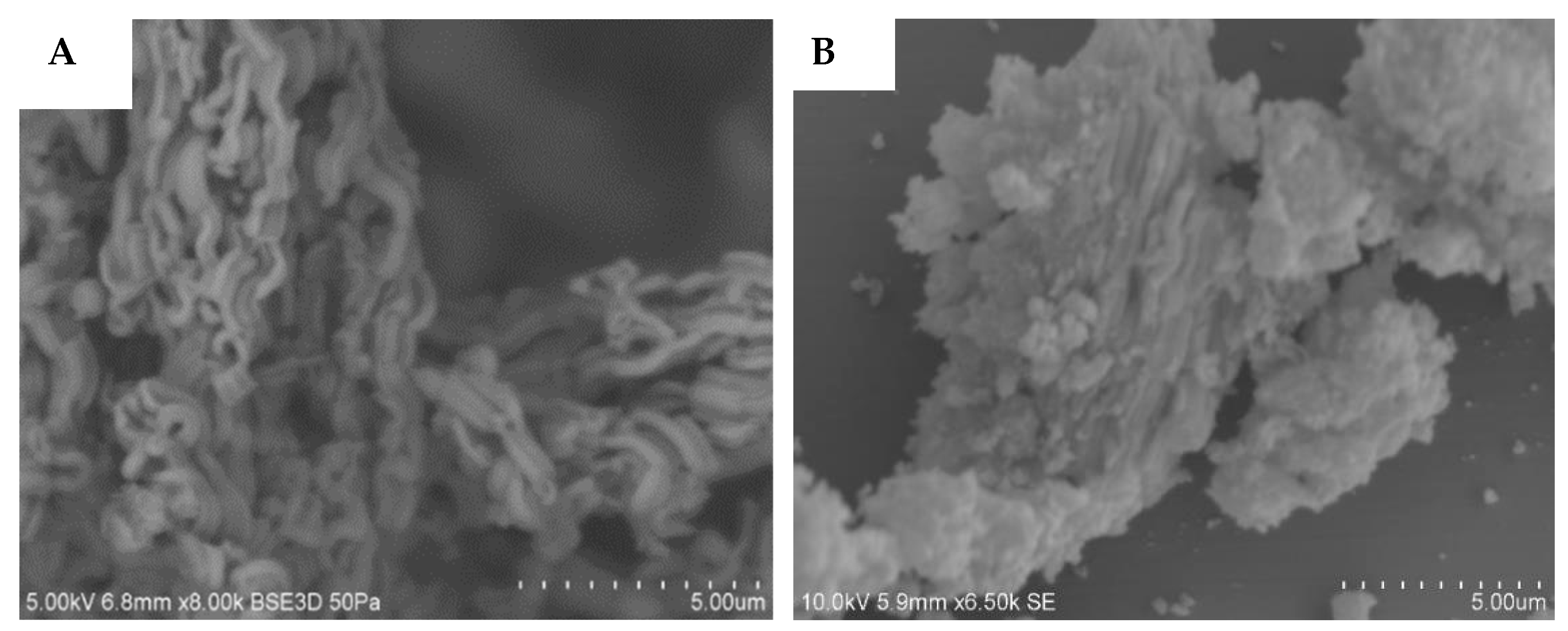 Preprints 144716 g003