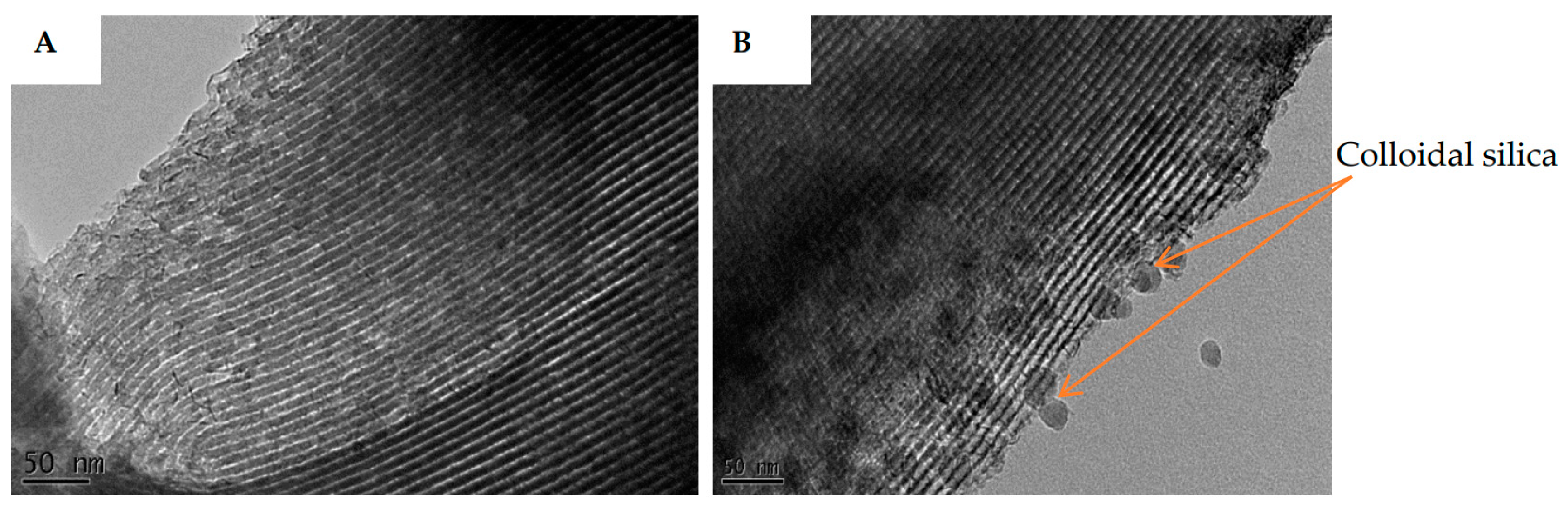 Preprints 144716 g004