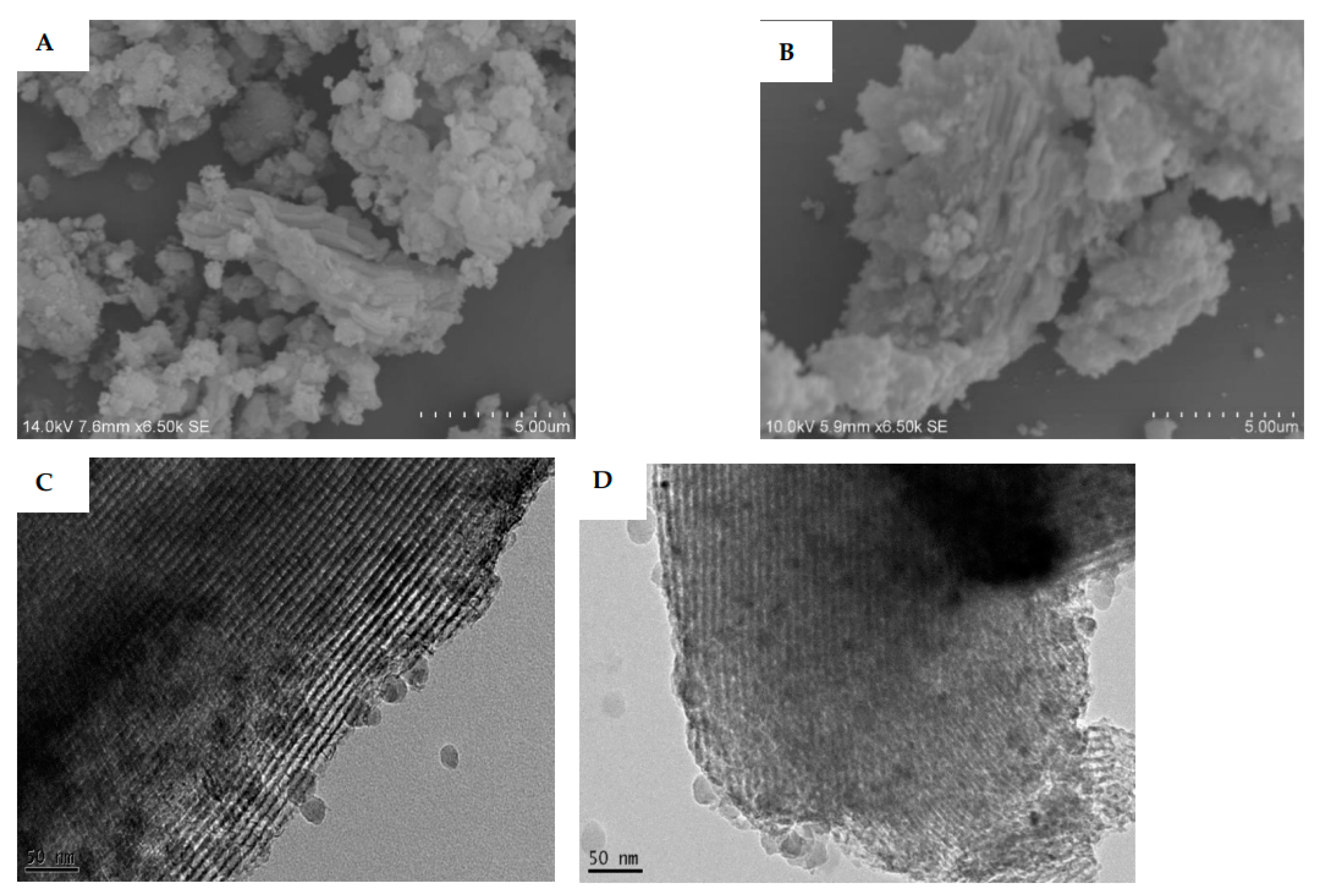 Preprints 144716 g010