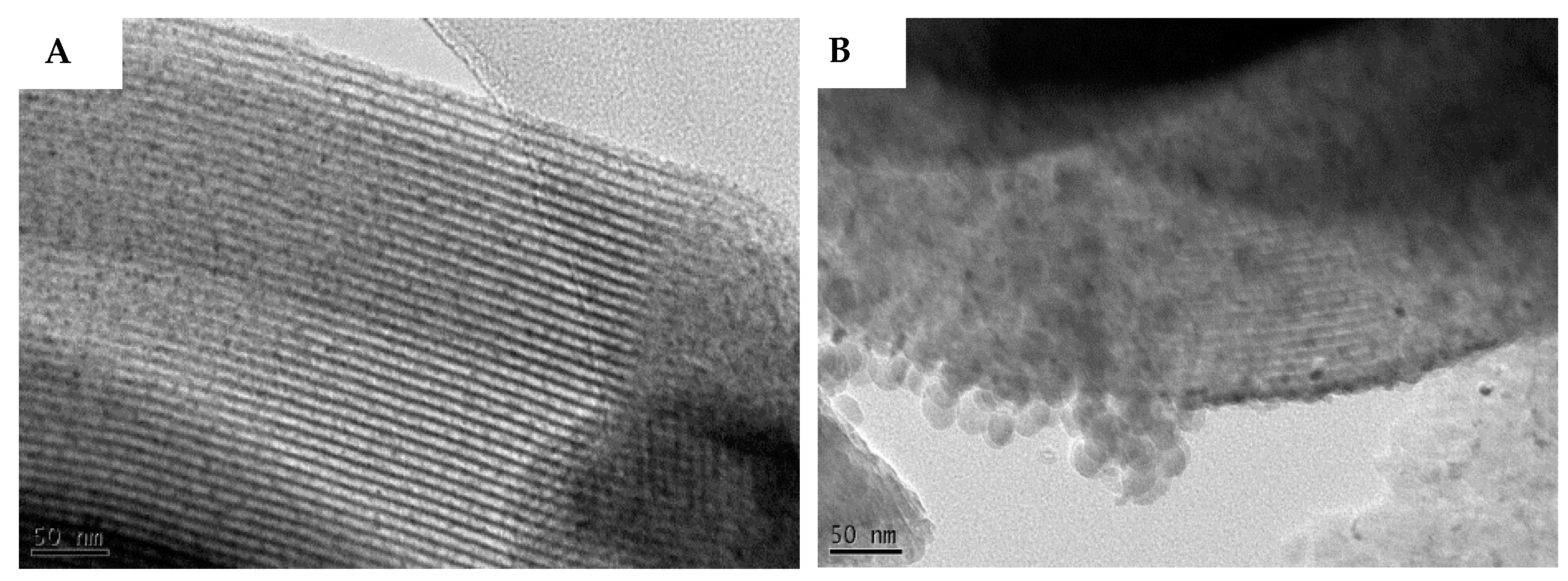 Preprints 144716 g013