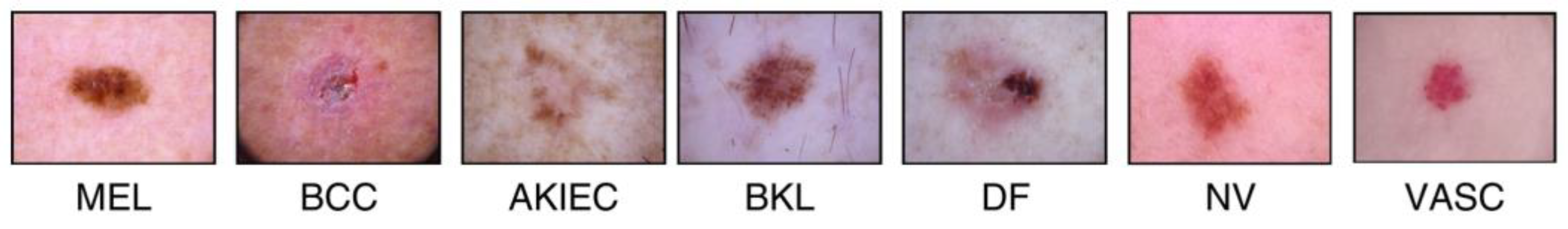 Preprints 140573 g002