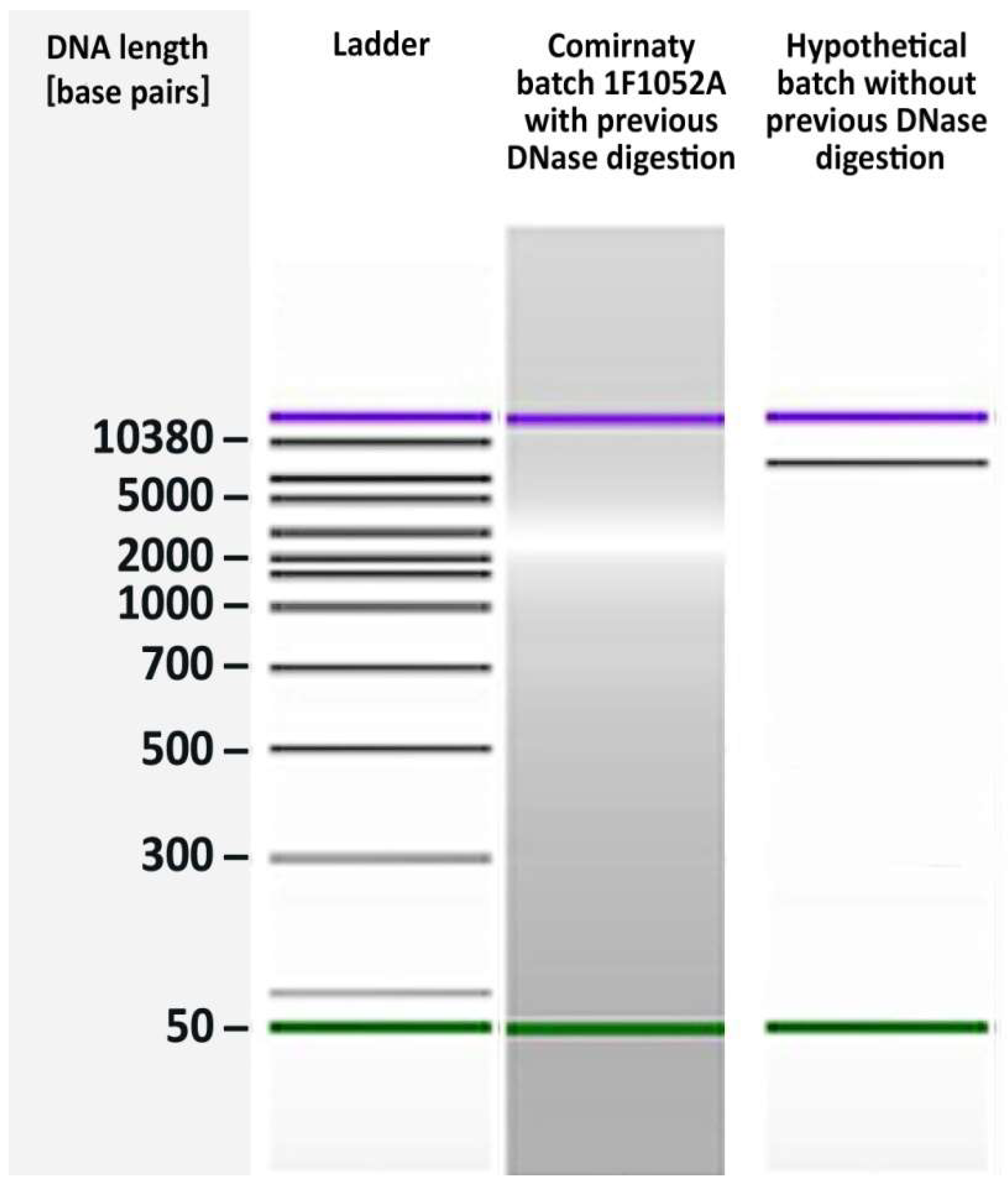 Preprints 140583 g001