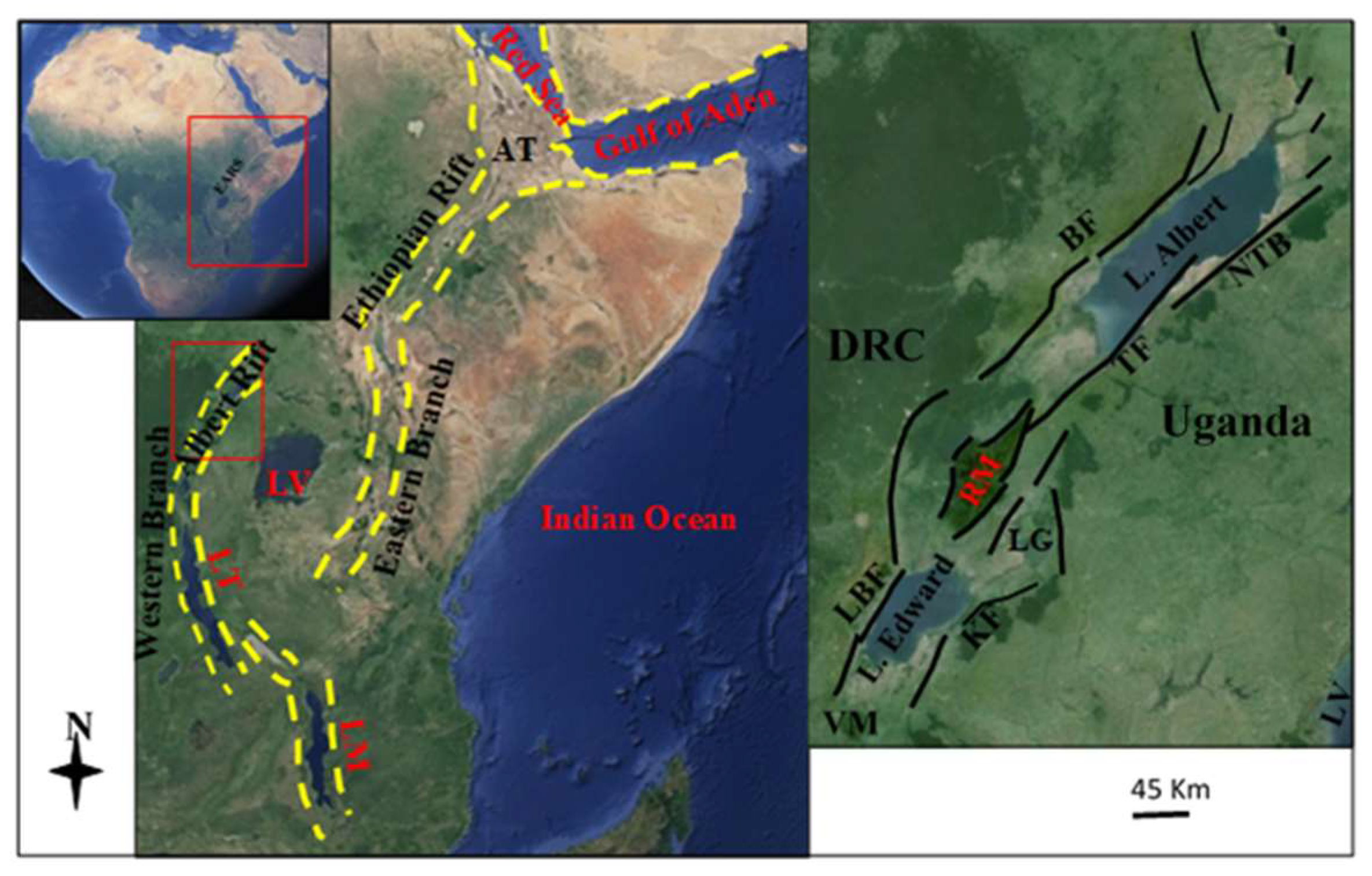 Preprints 144524 g001