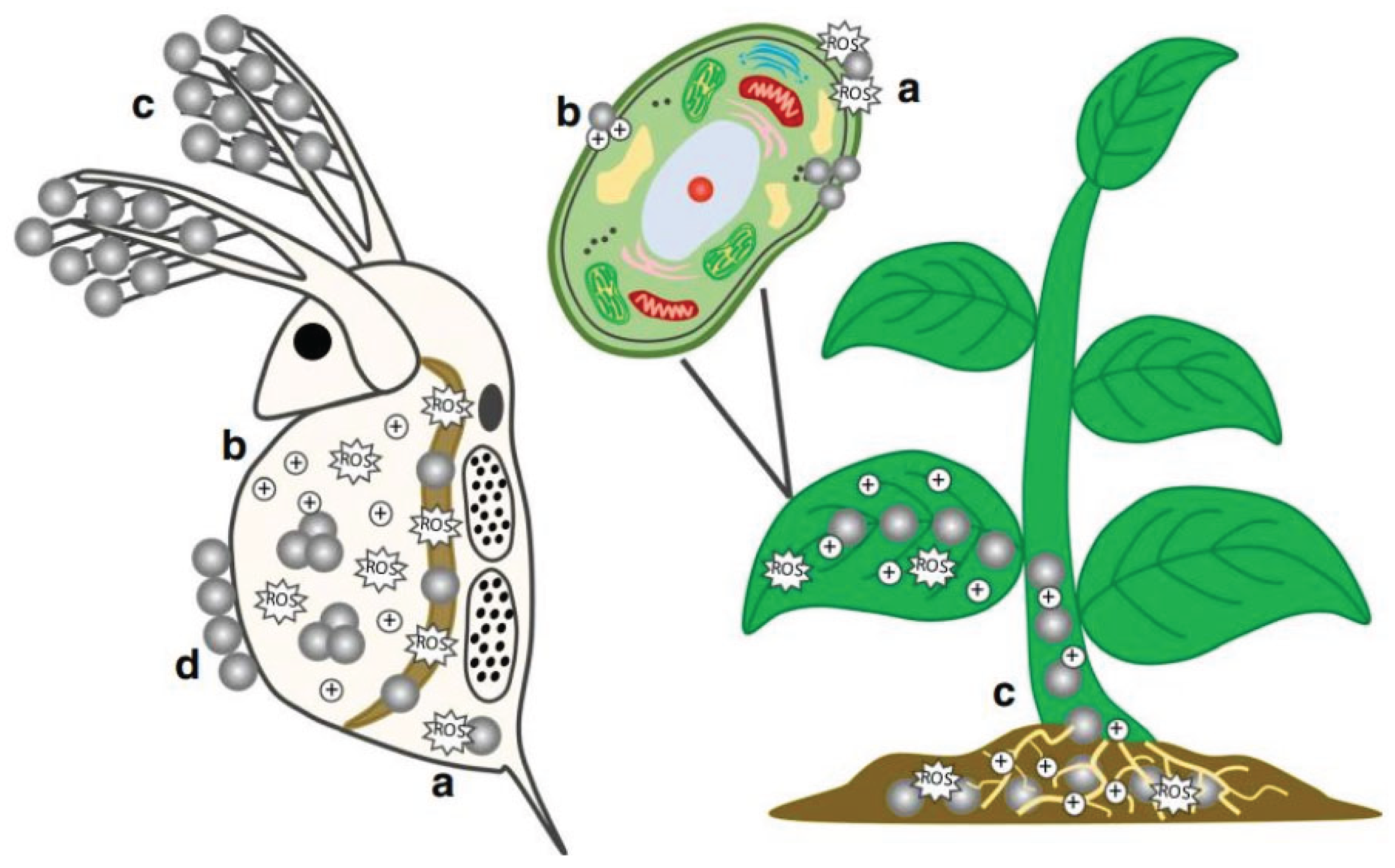 Preprints 171379 g002