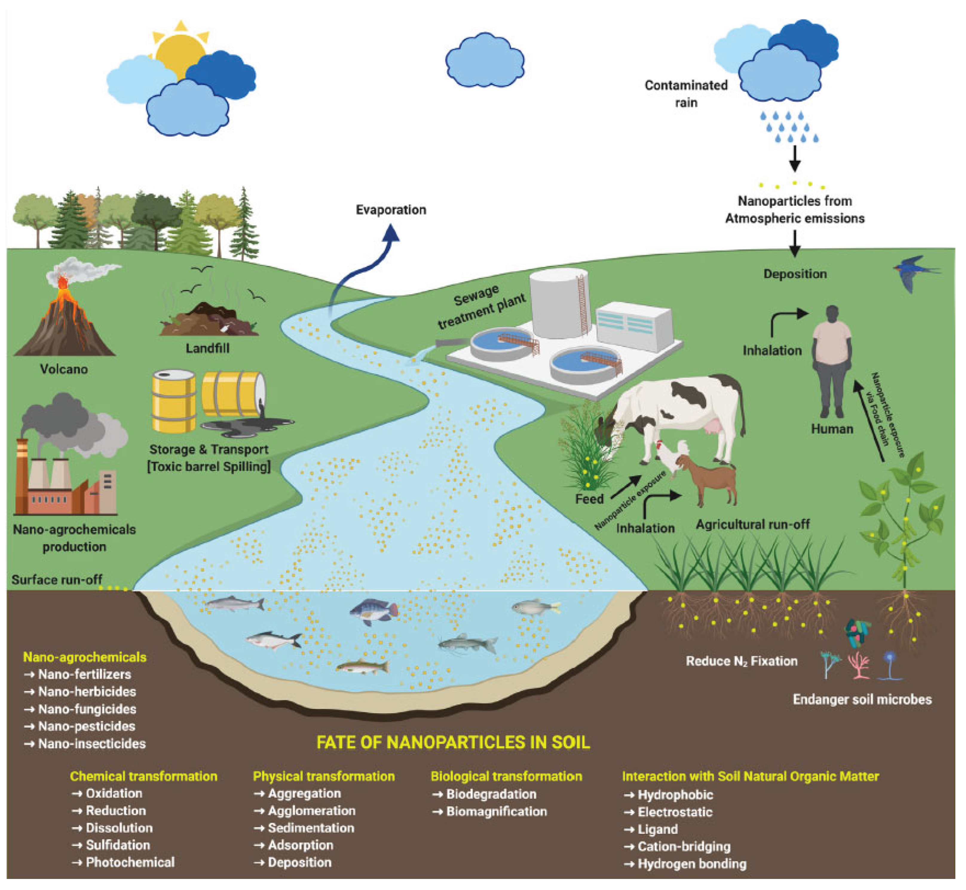 Preprints 171379 g005