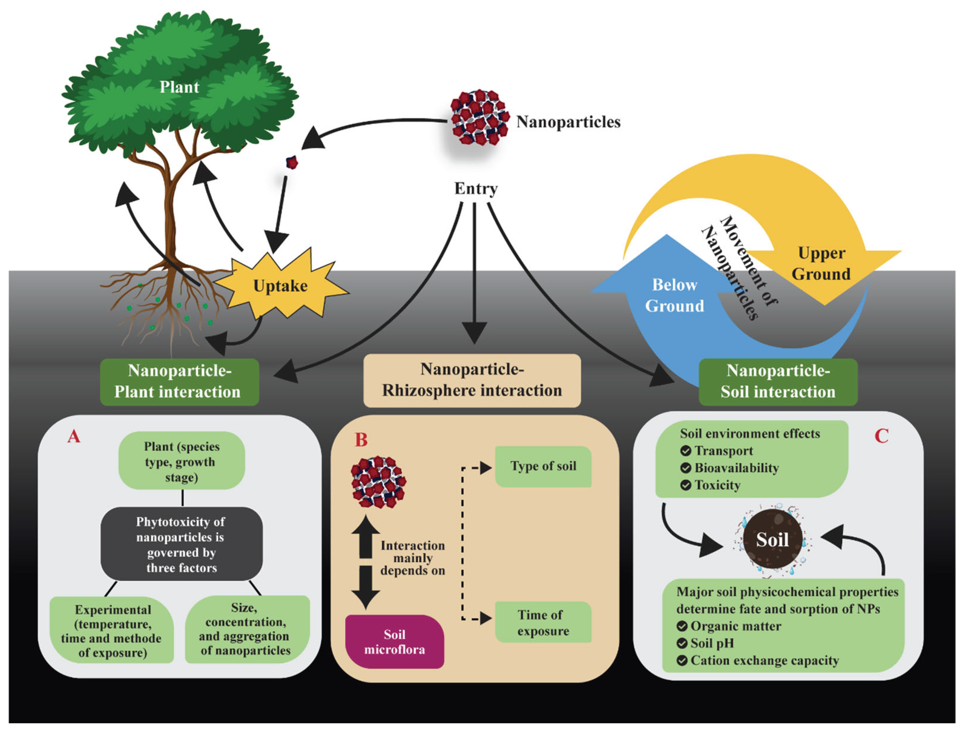 Preprints 171379 g006