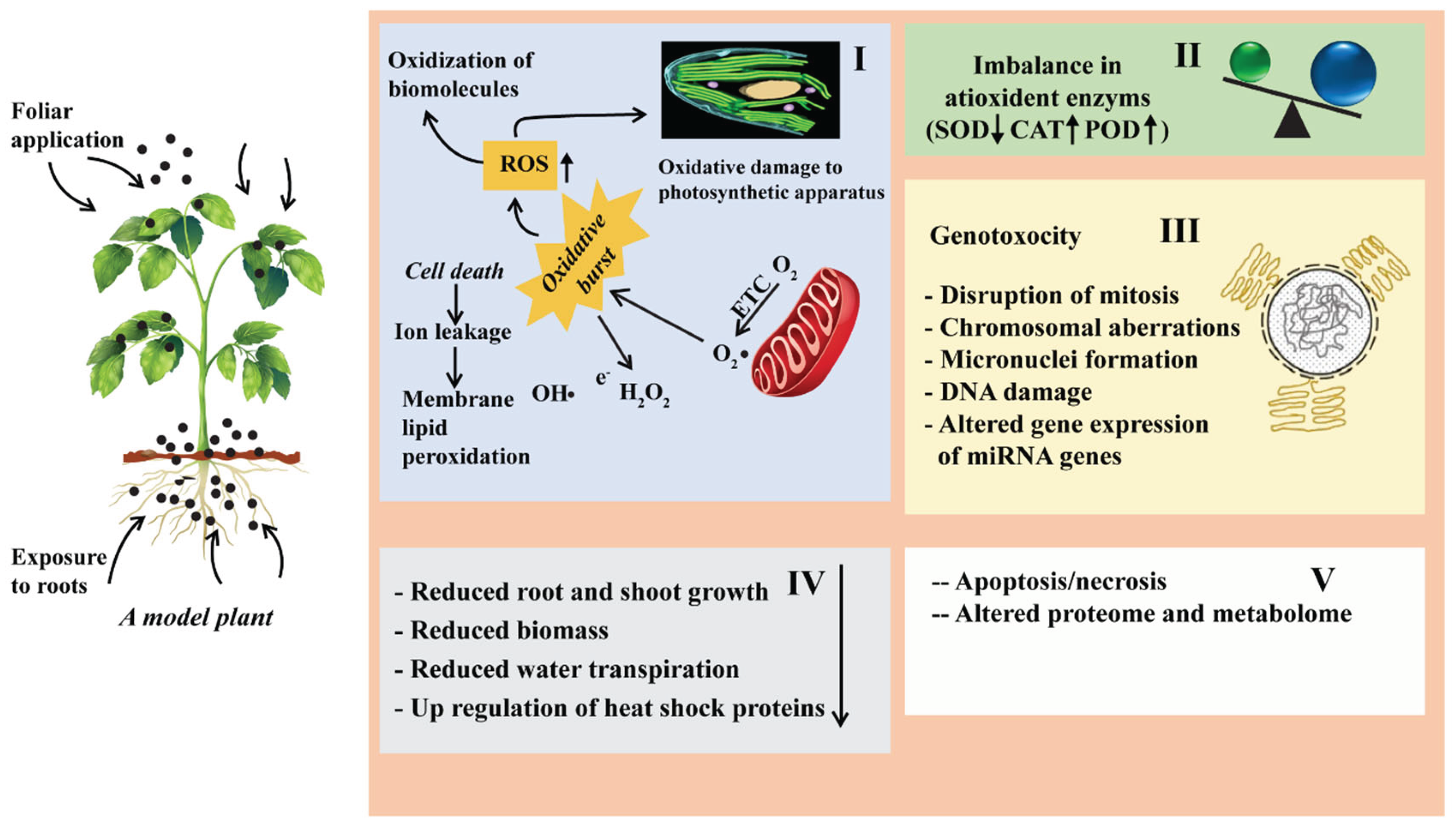 Preprints 171379 g007