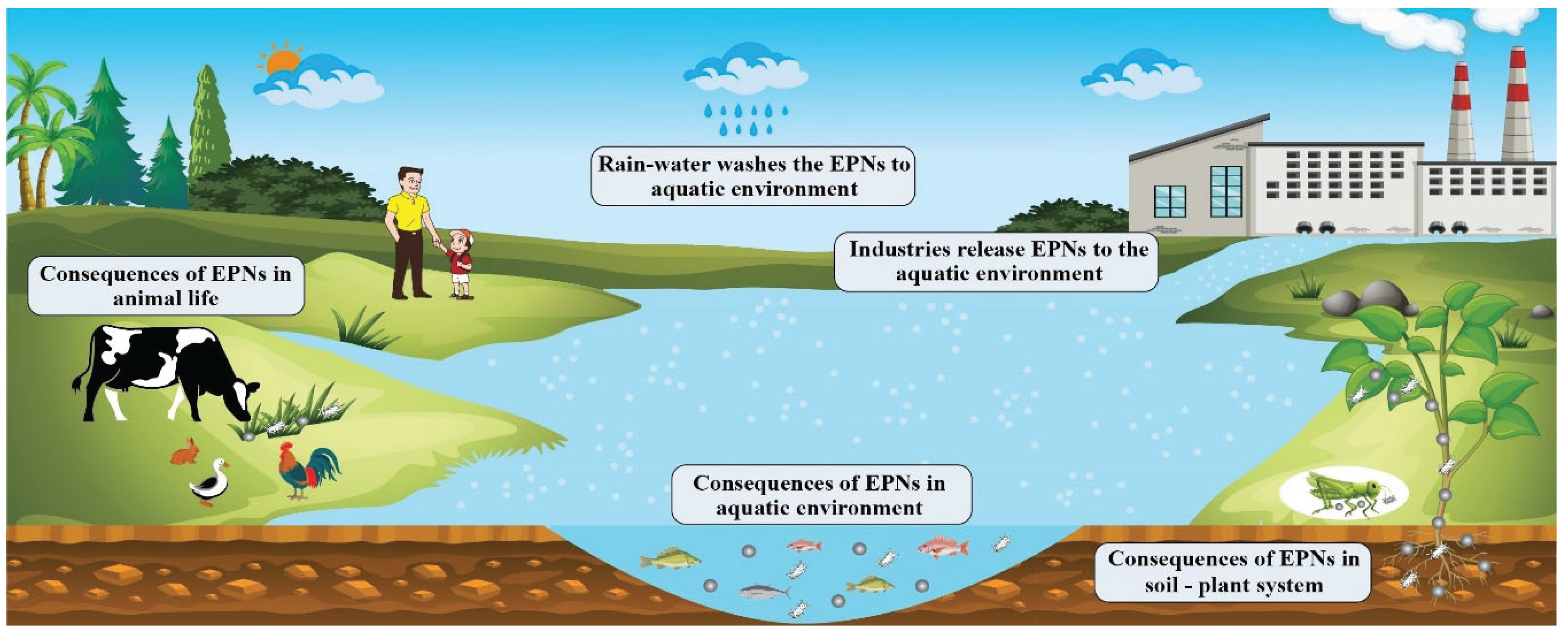 Preprints 171379 g008