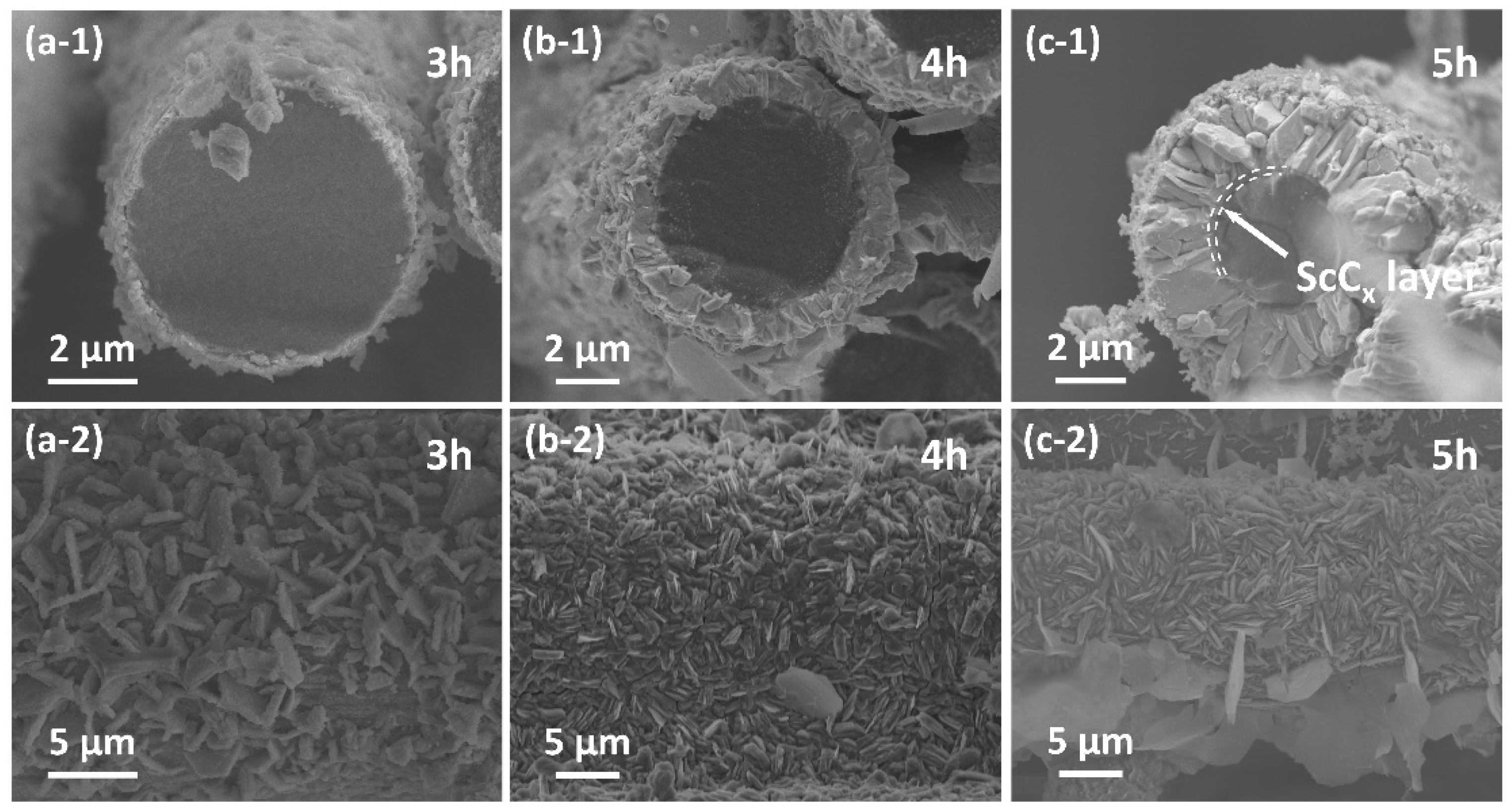 Preprints 161515 g007