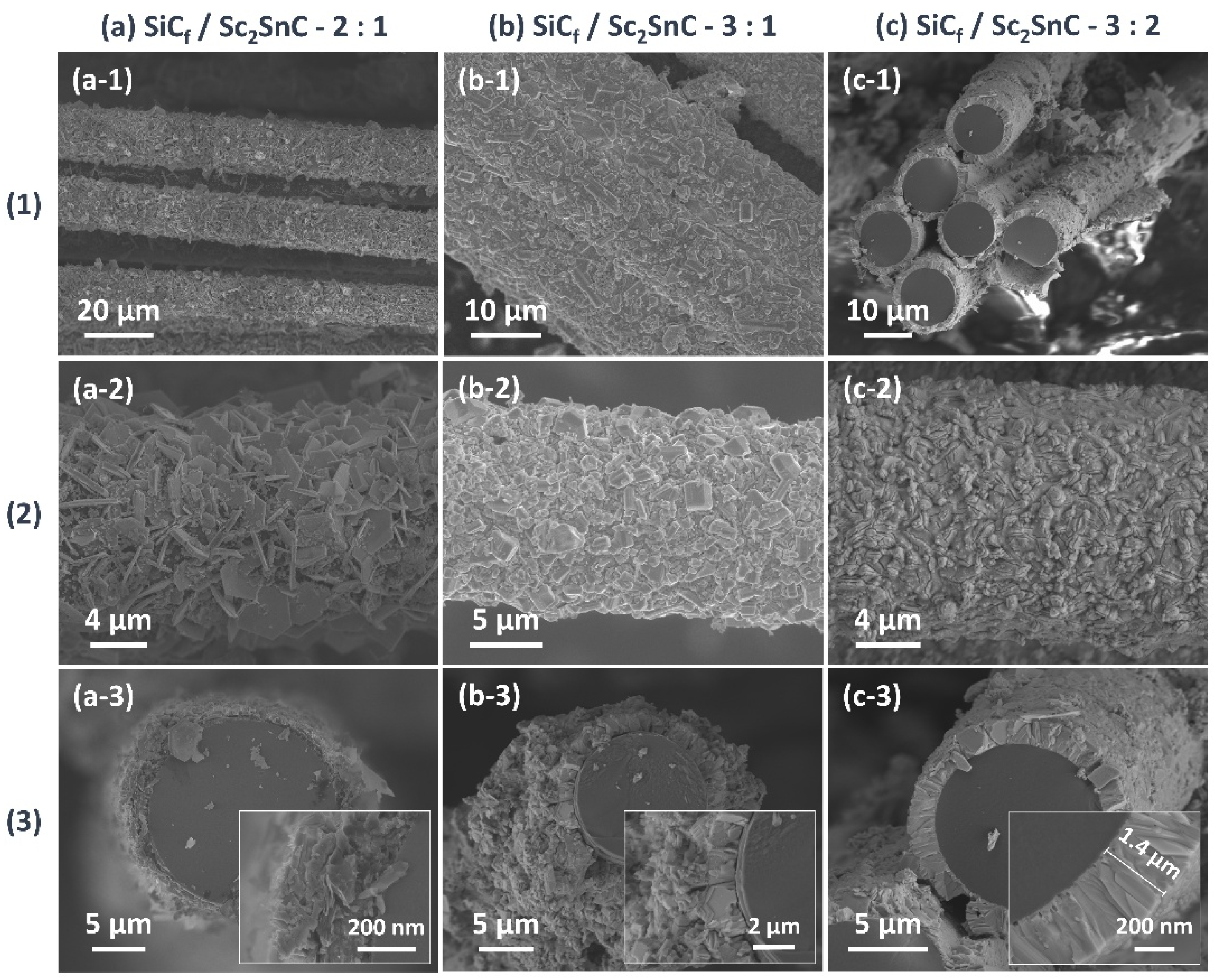 Preprints 161515 g010