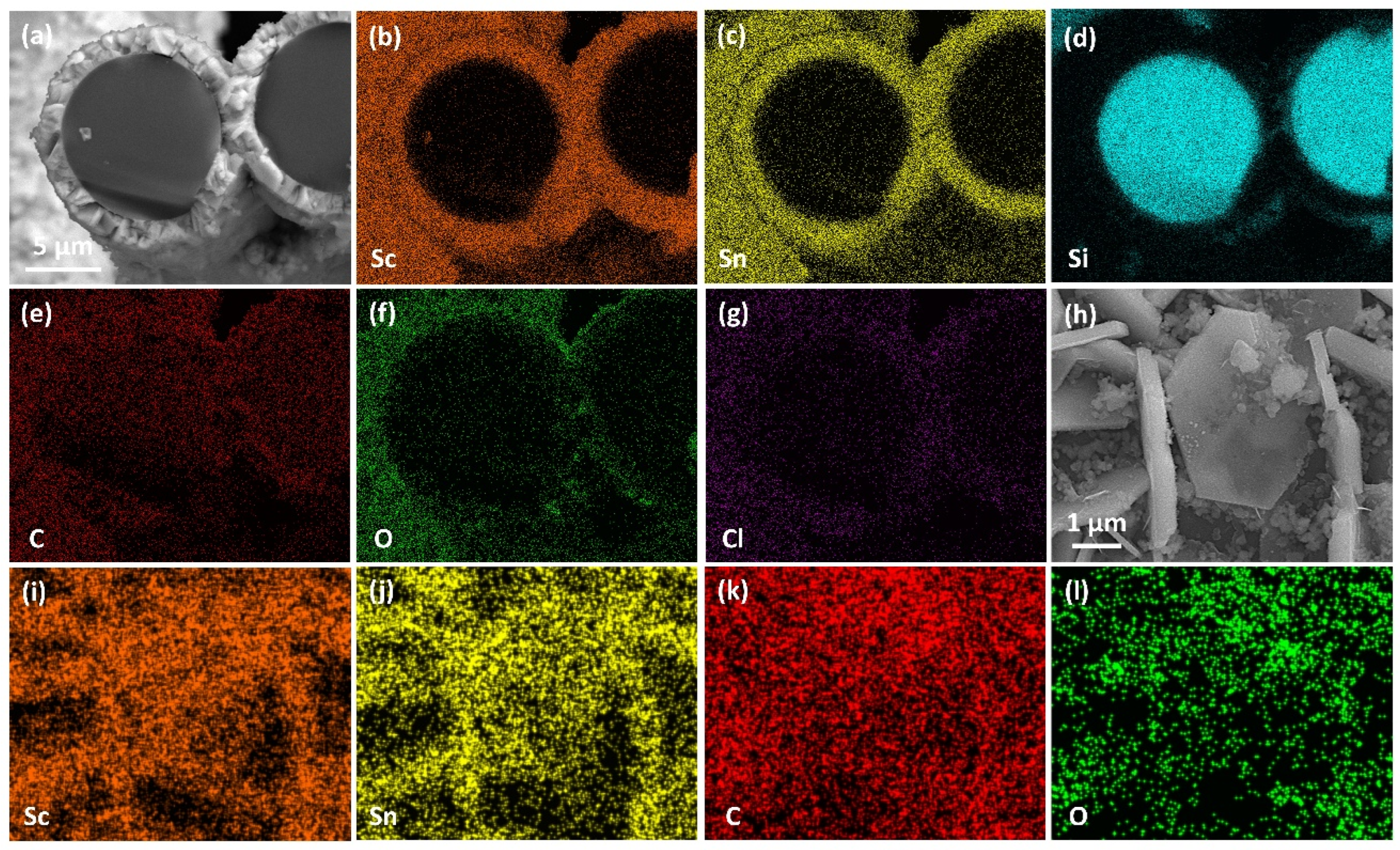Preprints 161515 g011