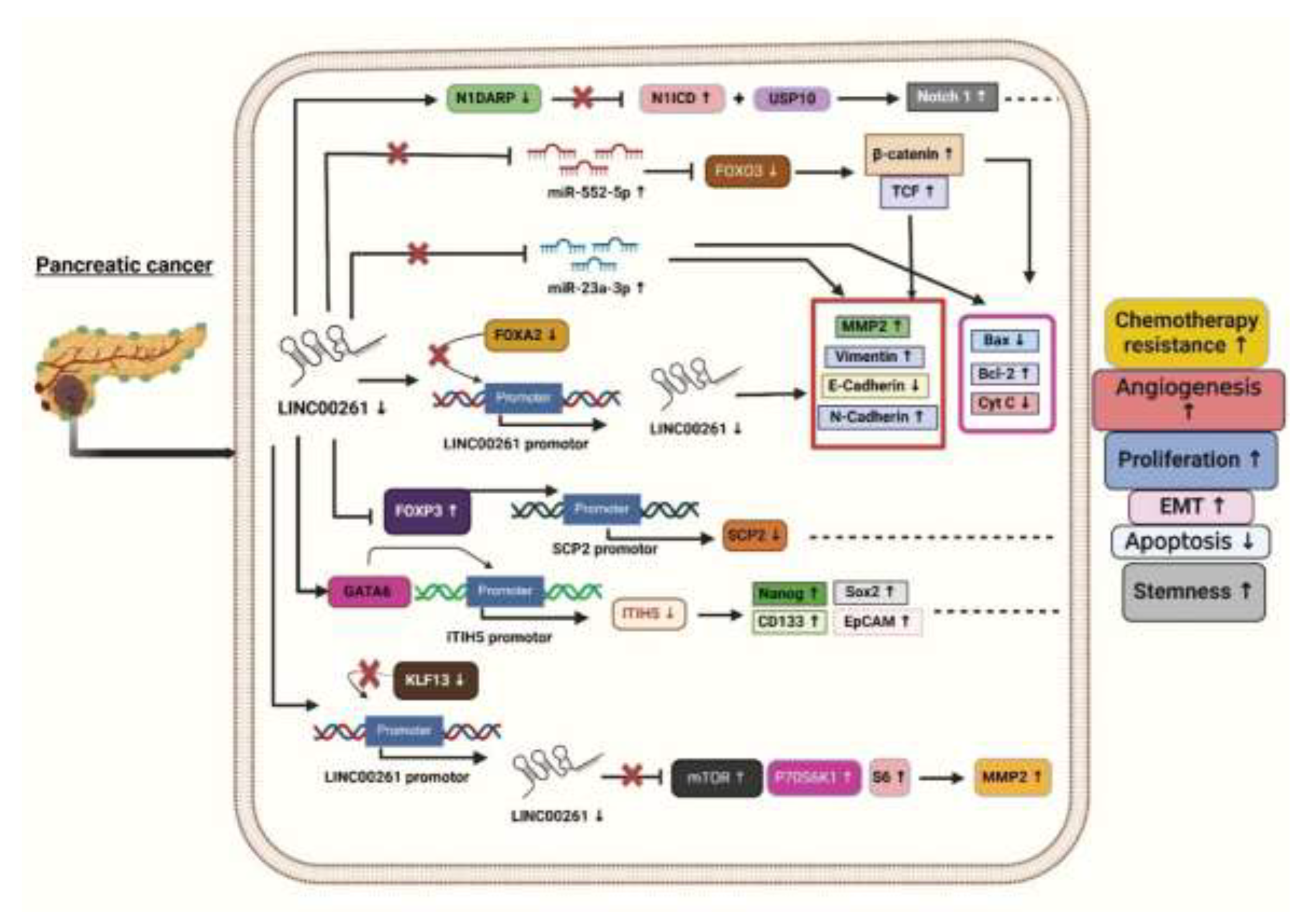 Preprints 149129 g001