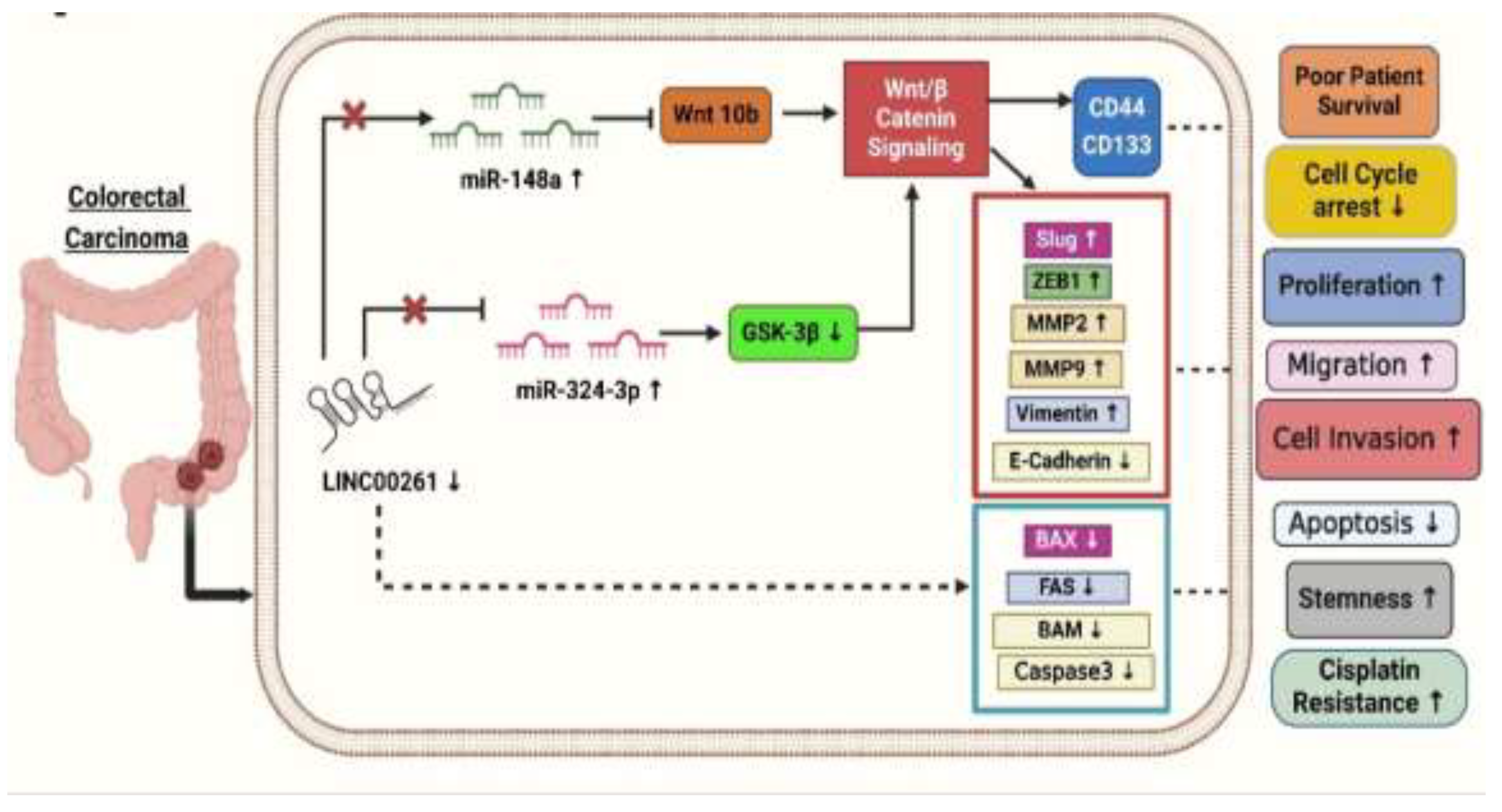 Preprints 149129 g002