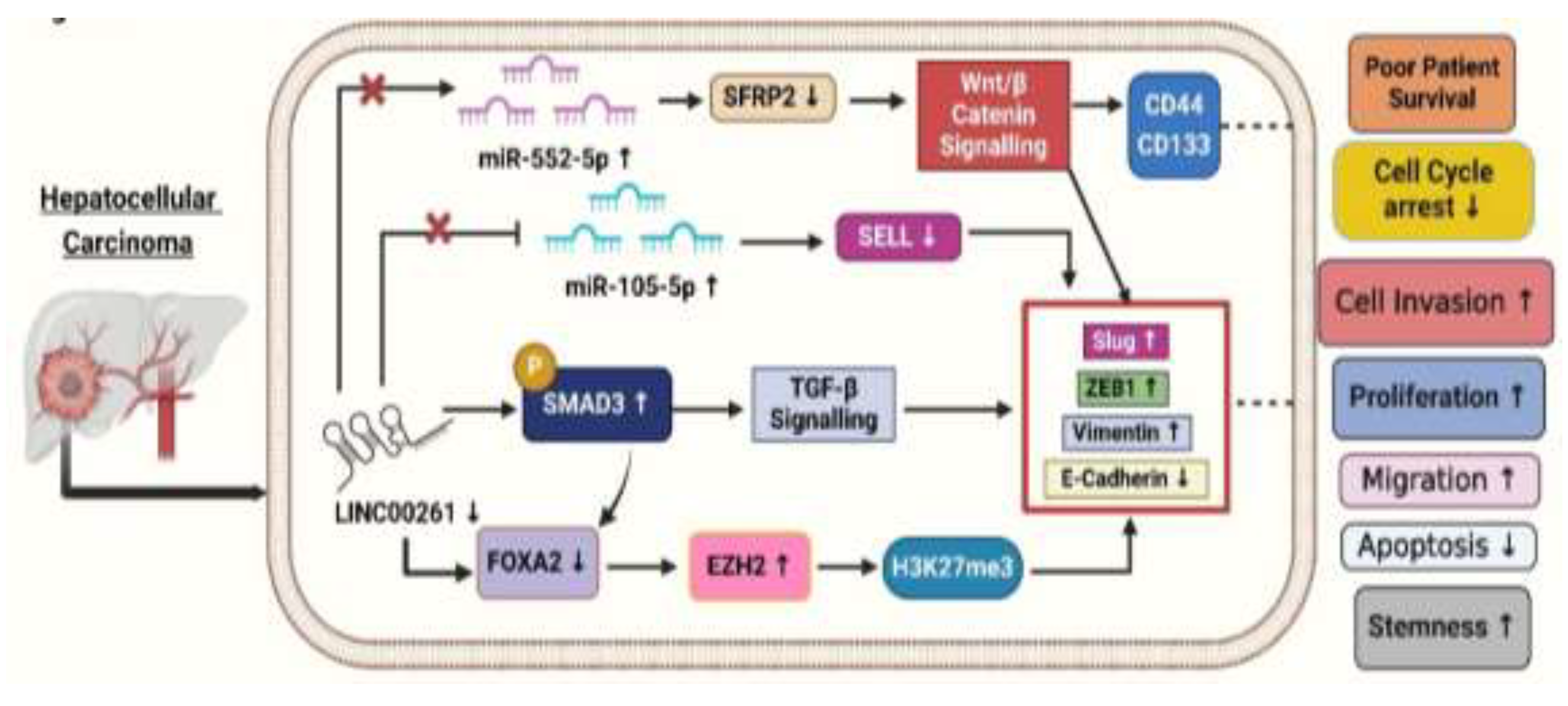 Preprints 149129 g003
