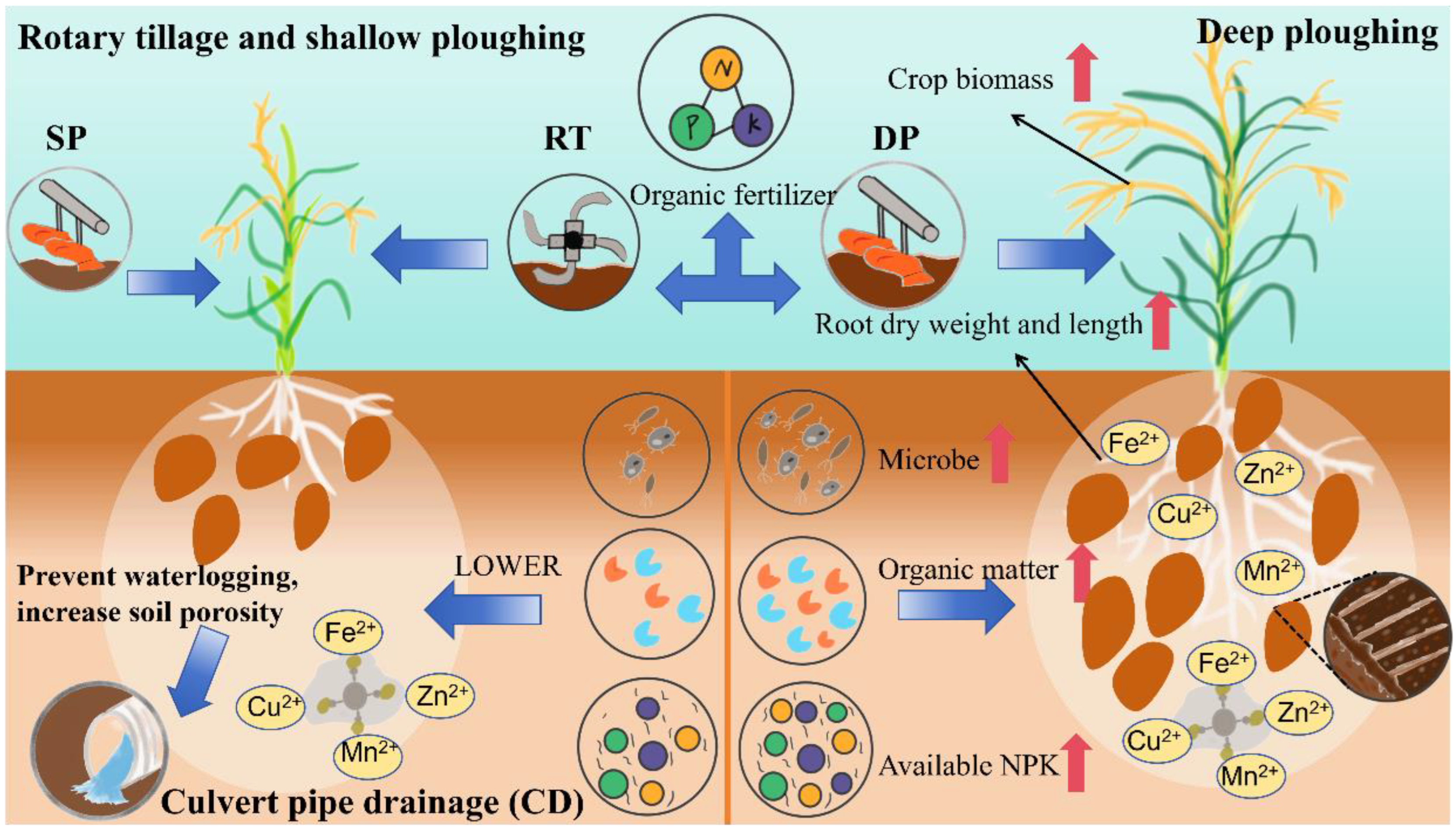 Preprints 157094 g006
