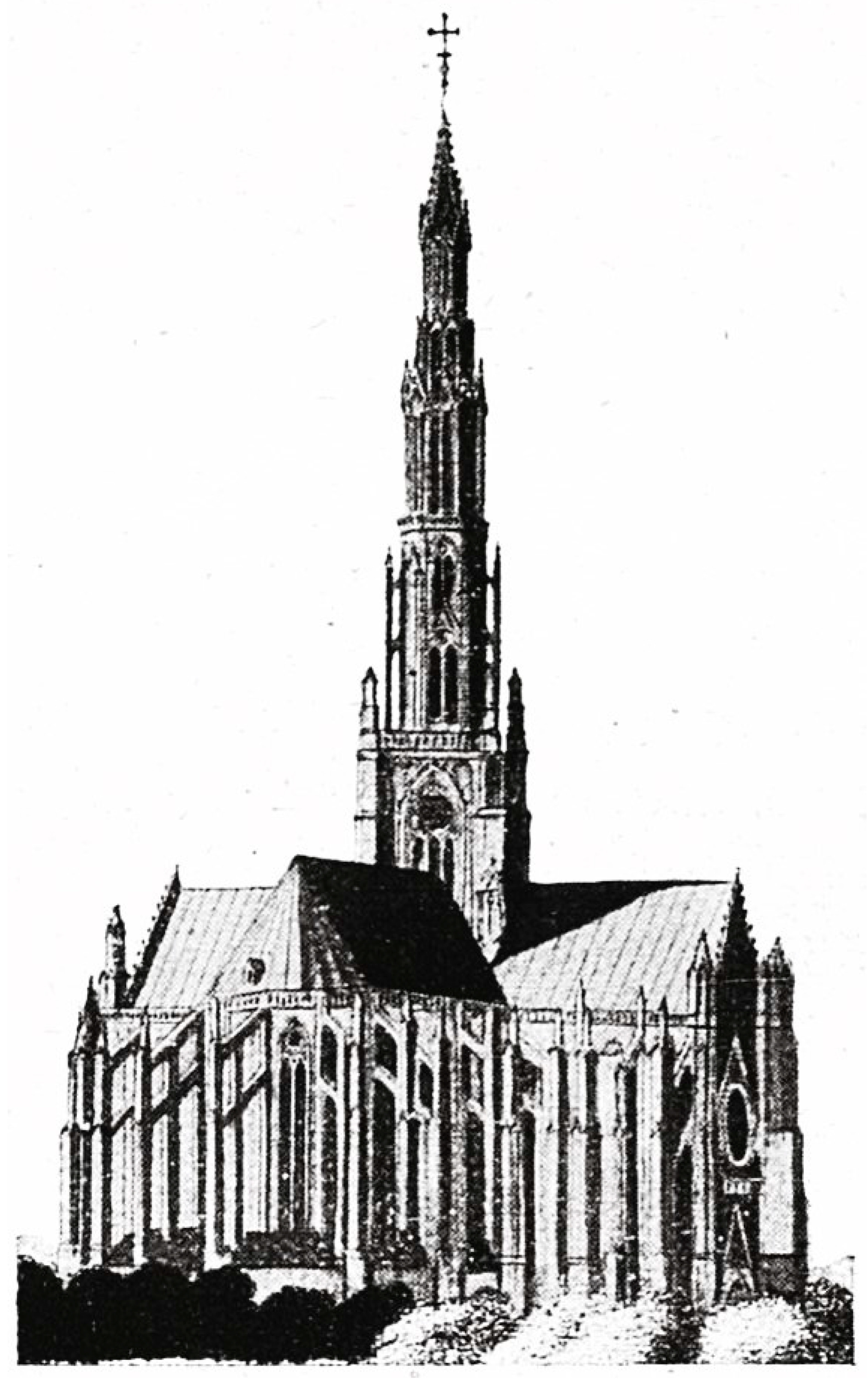 Preprints 157453 g014