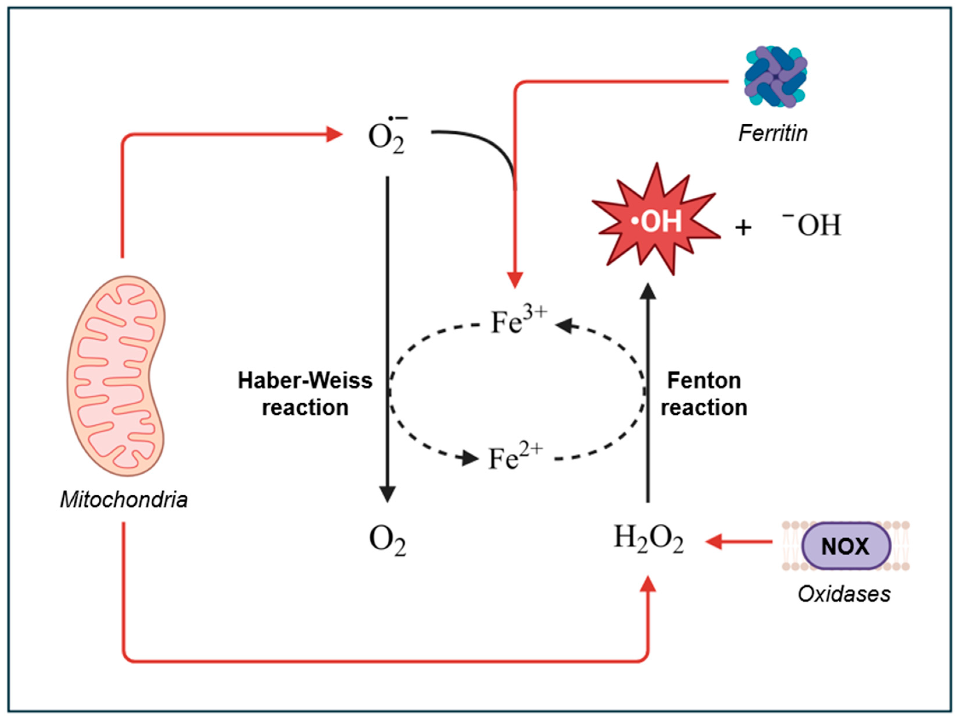 Preprints 143682 g001