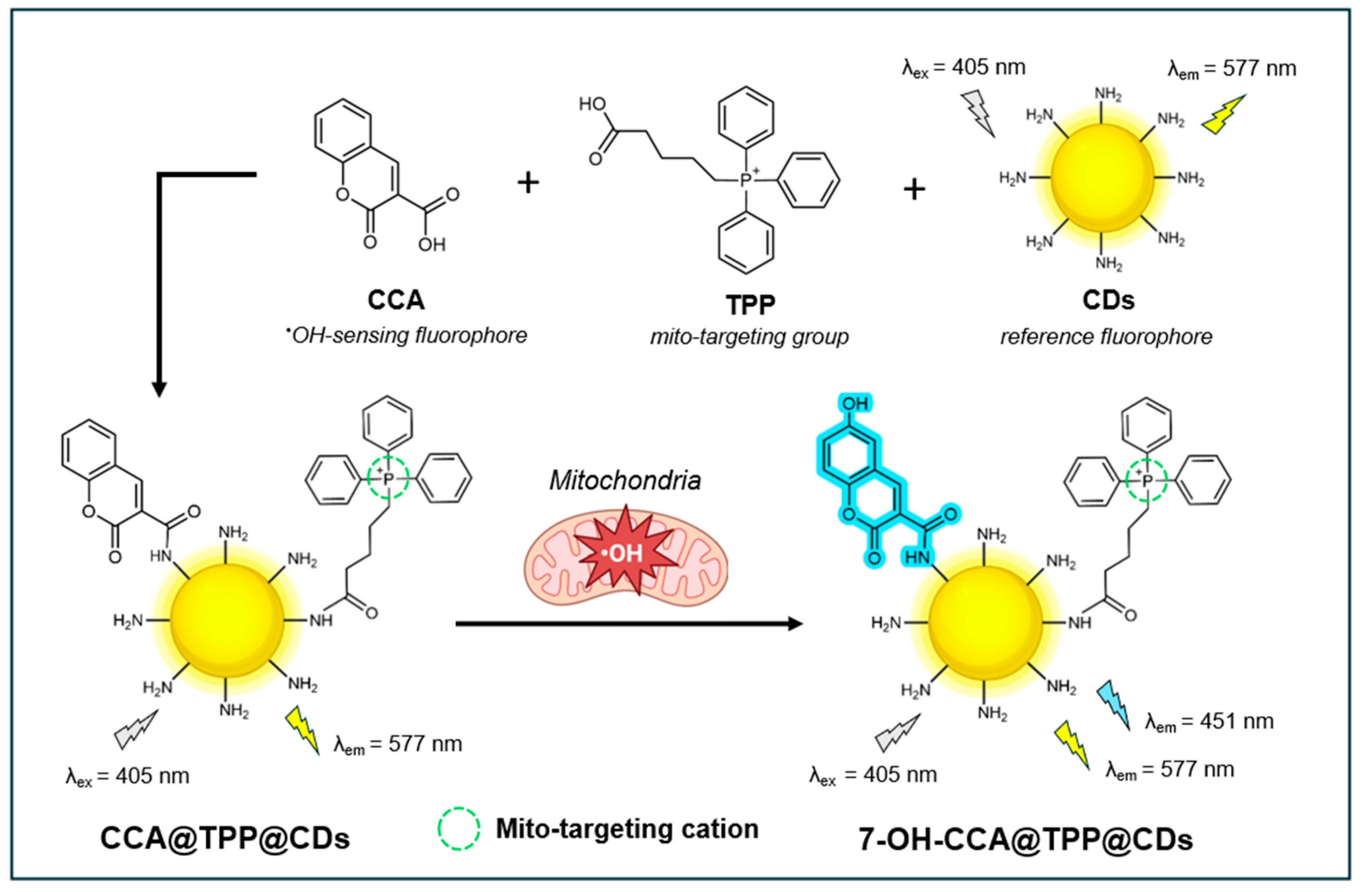 Preprints 143682 g006