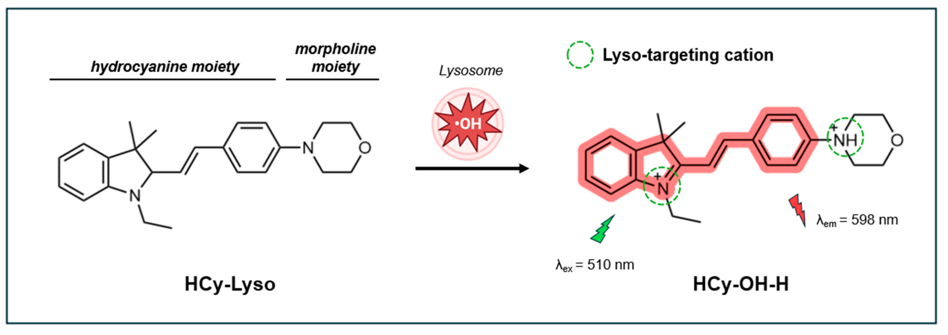 Preprints 143682 g010