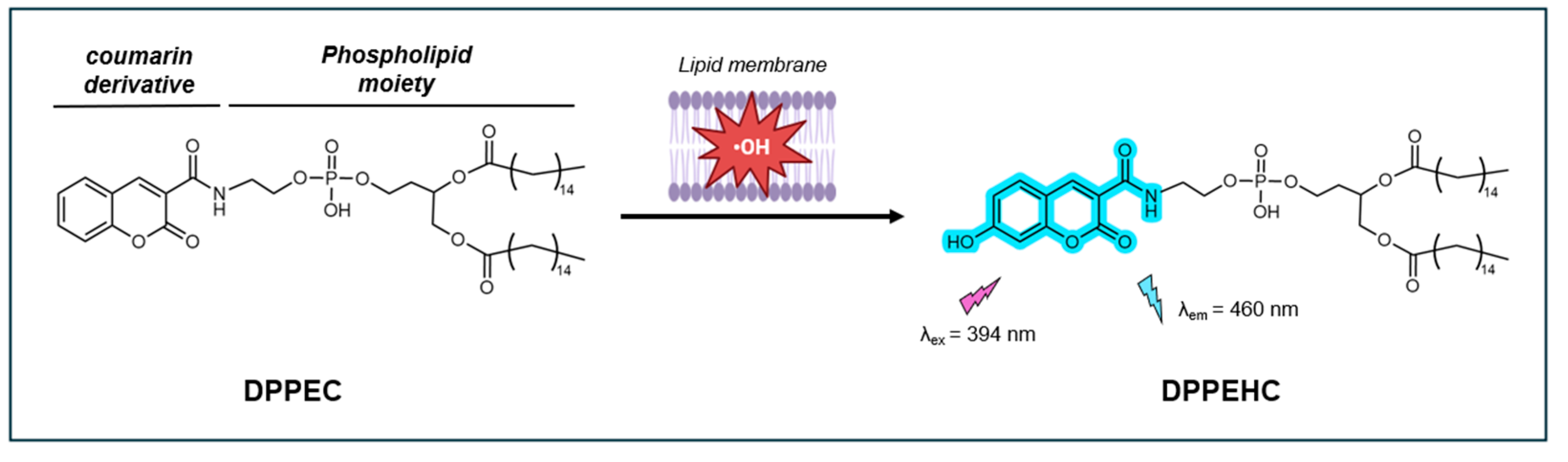 Preprints 143682 g013
