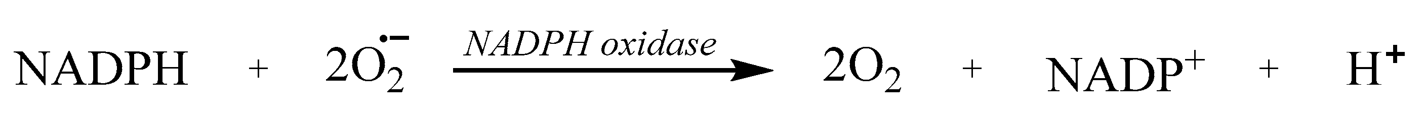 Preprints 143682 i003