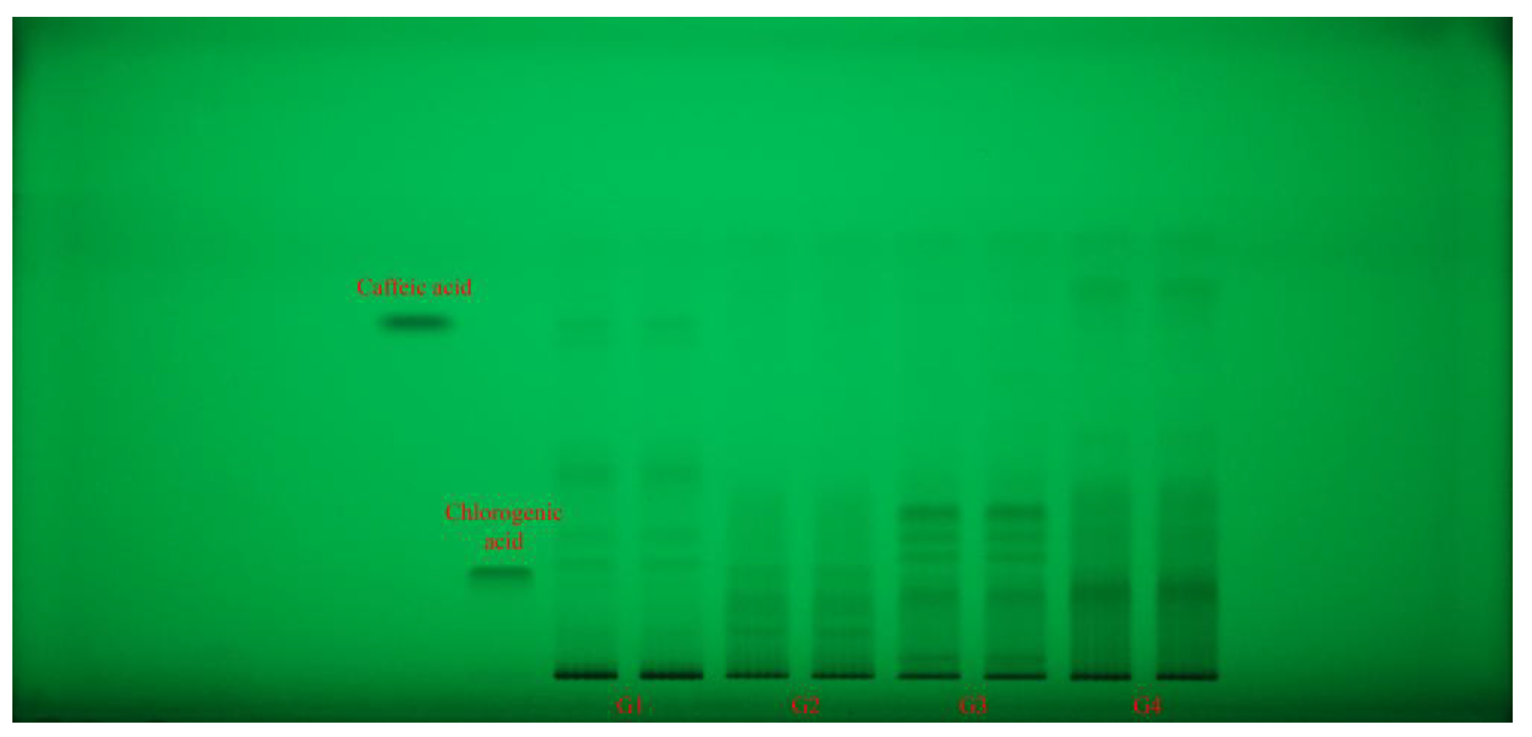 Preprints 176243 g002