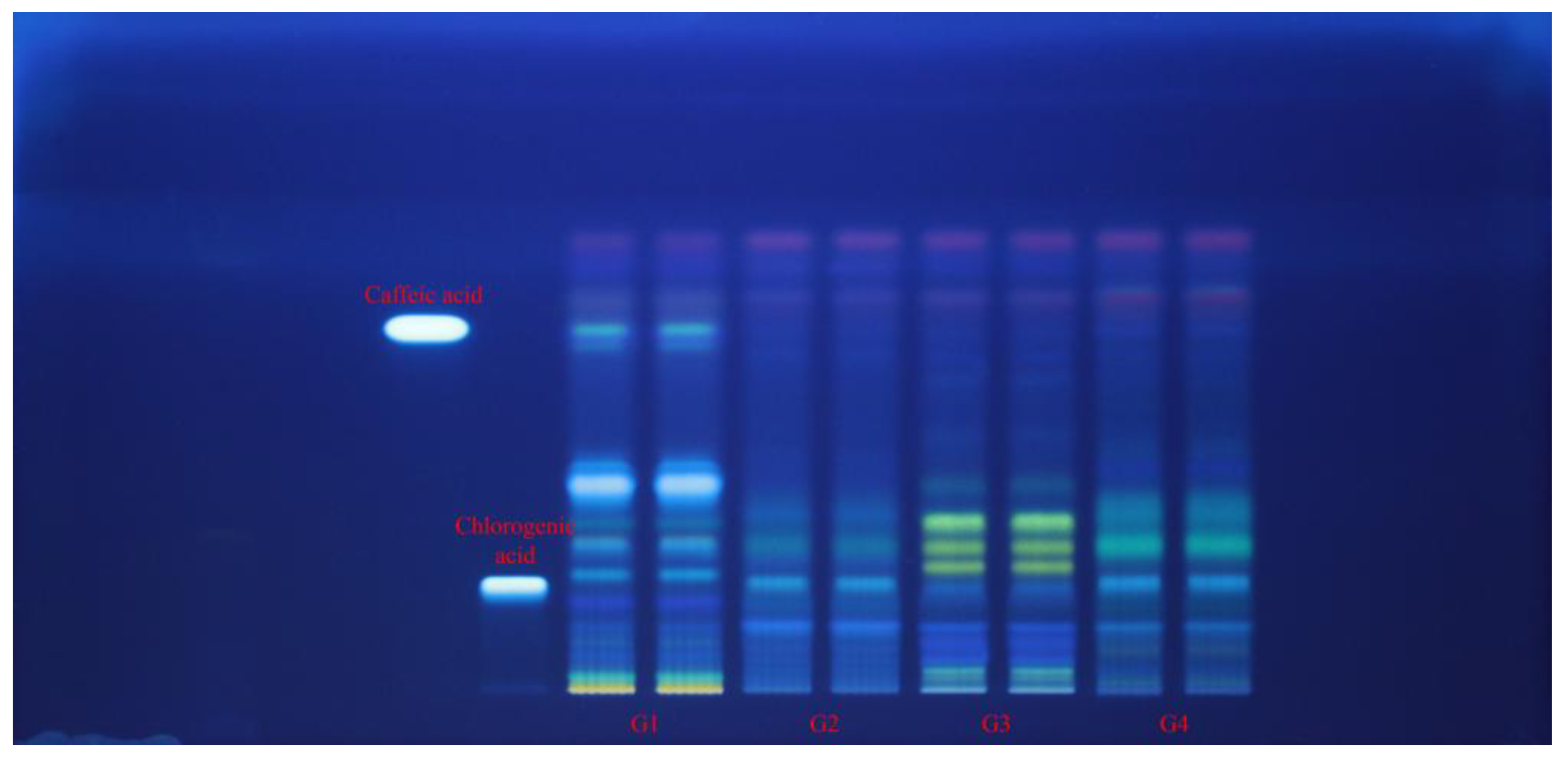 Preprints 176243 g003
