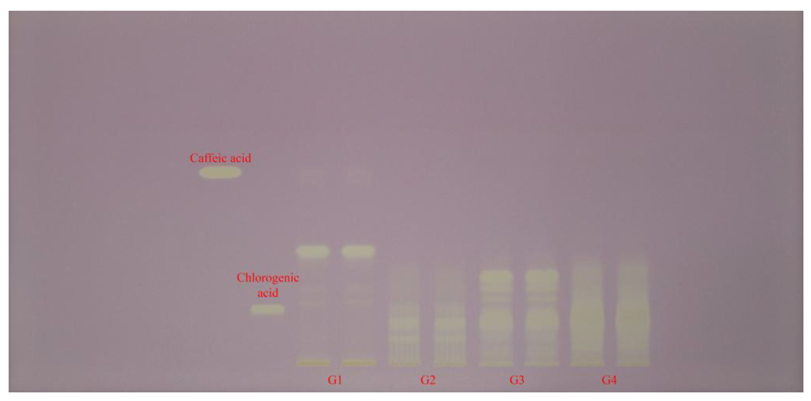Preprints 176243 g004