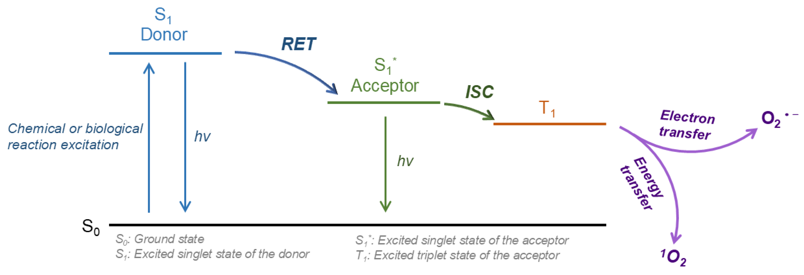 Preprints 144846 g002