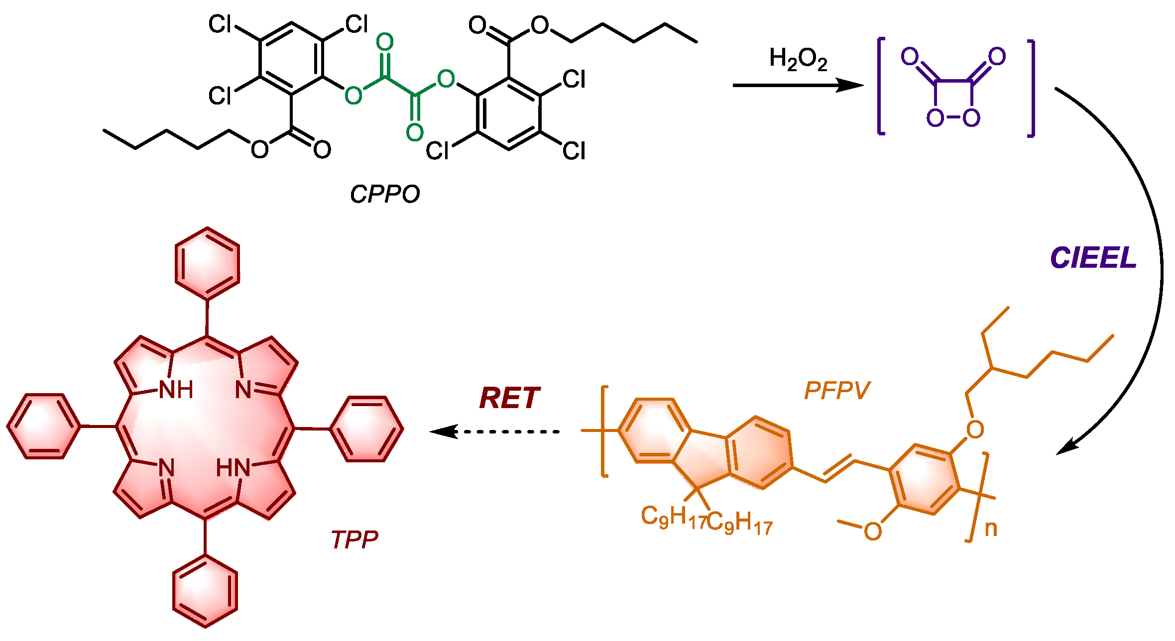 Preprints 144846 g005