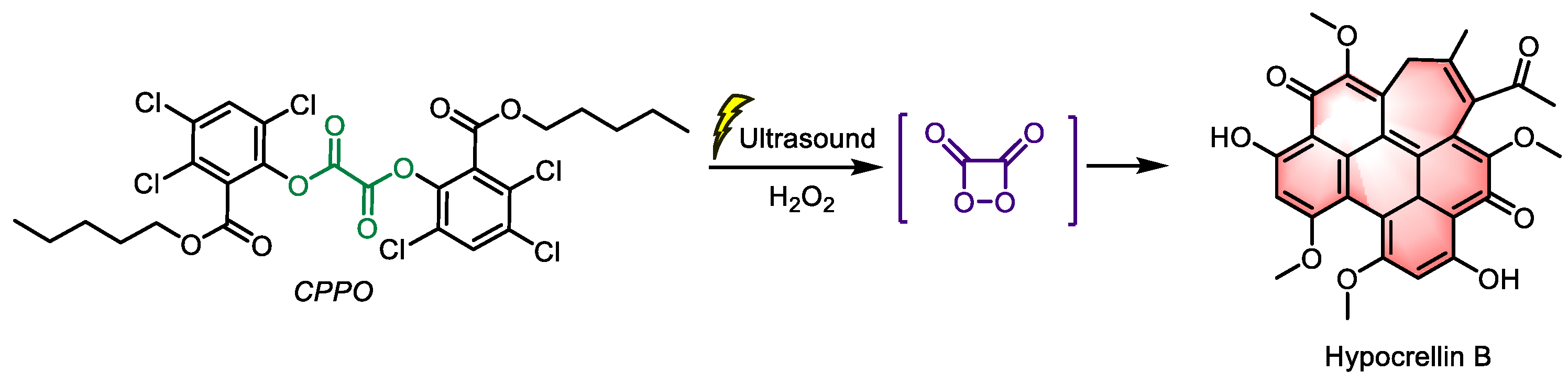 Preprints 144846 g006