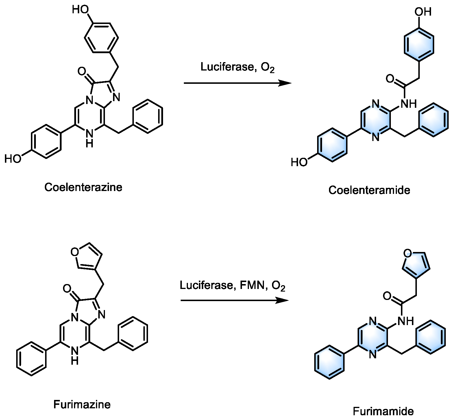 Preprints 144846 sch001