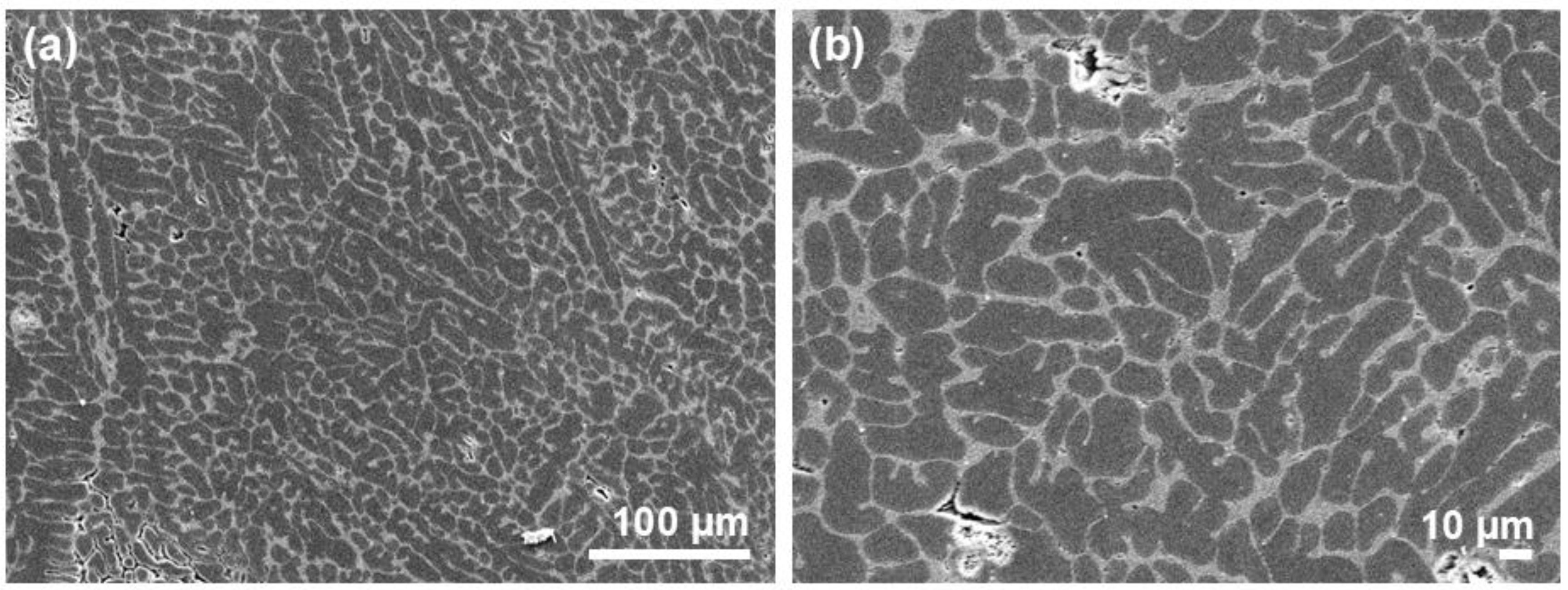 Preprints 207594 g004