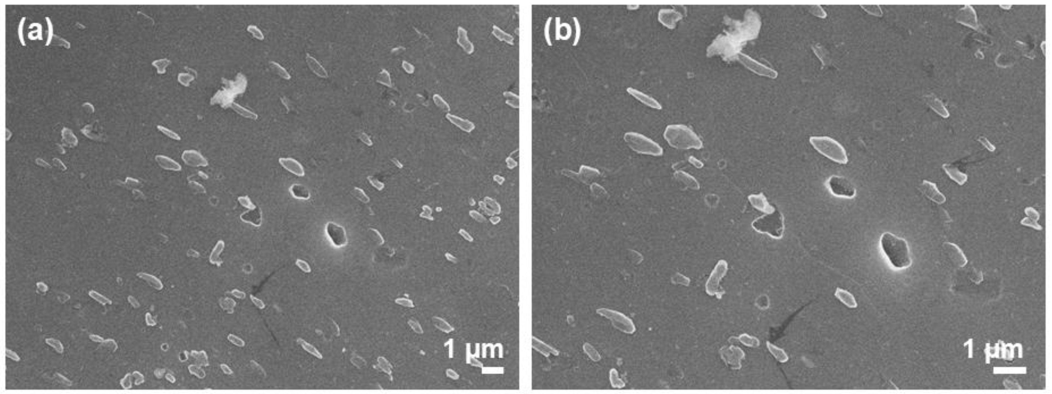 Preprints 207594 g006