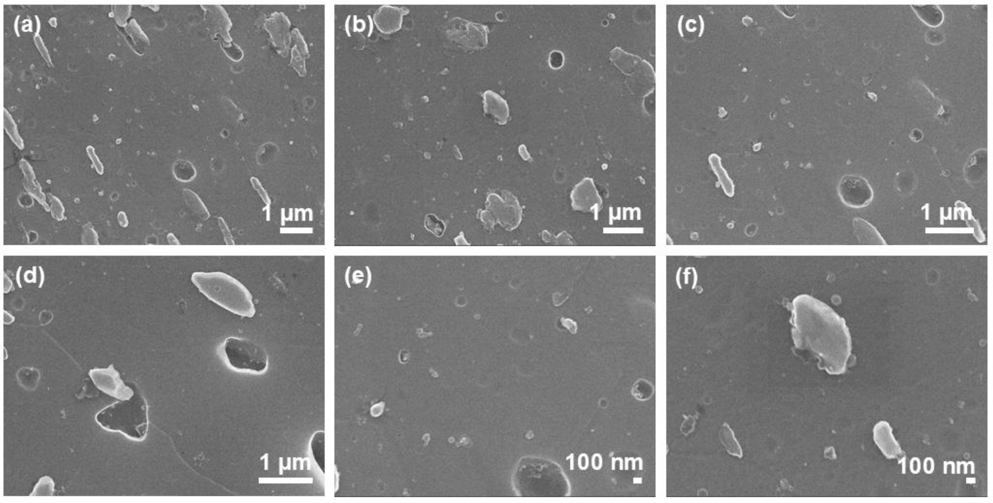 Preprints 207594 g007