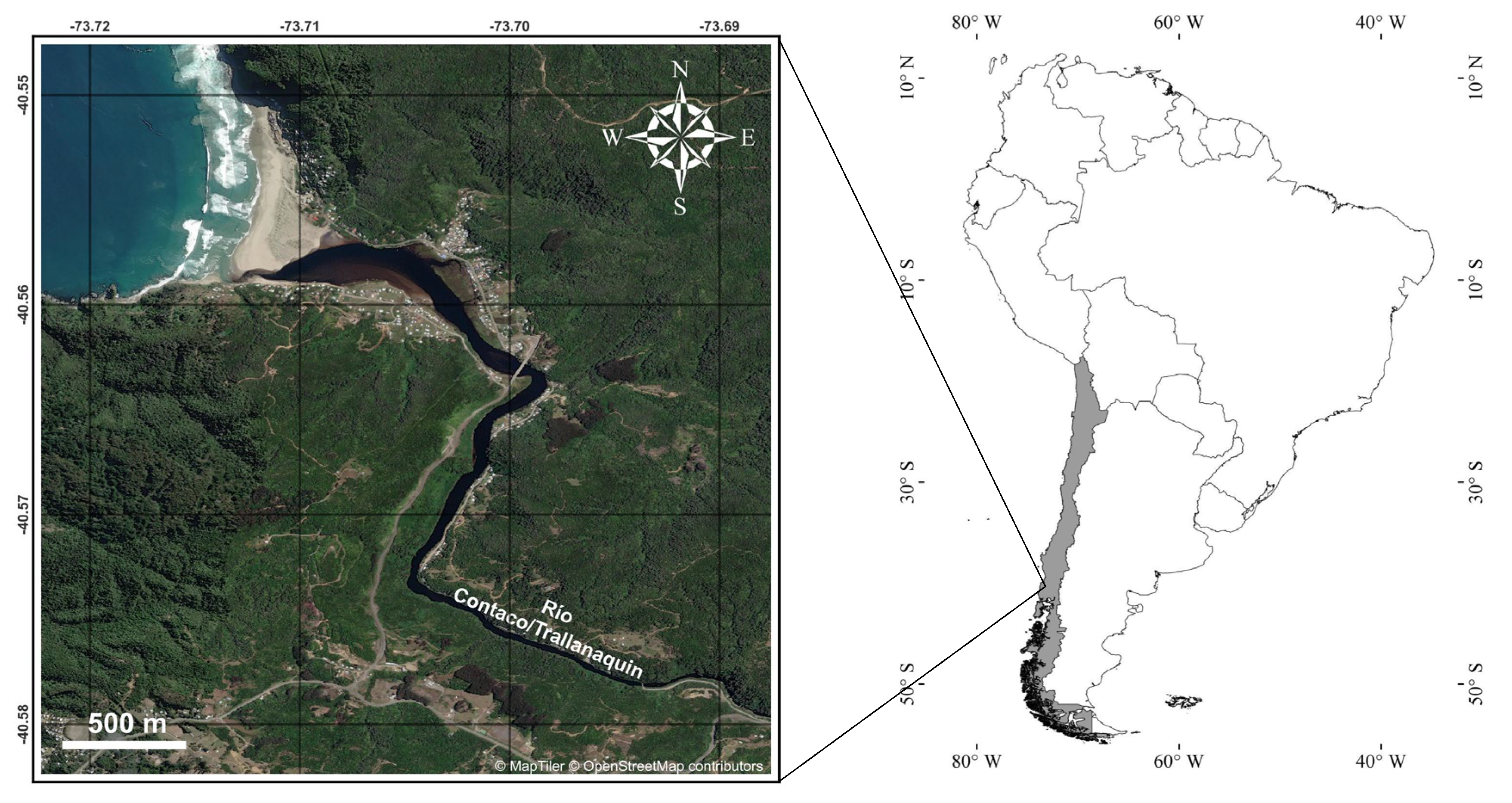 Preprints 142791 g001