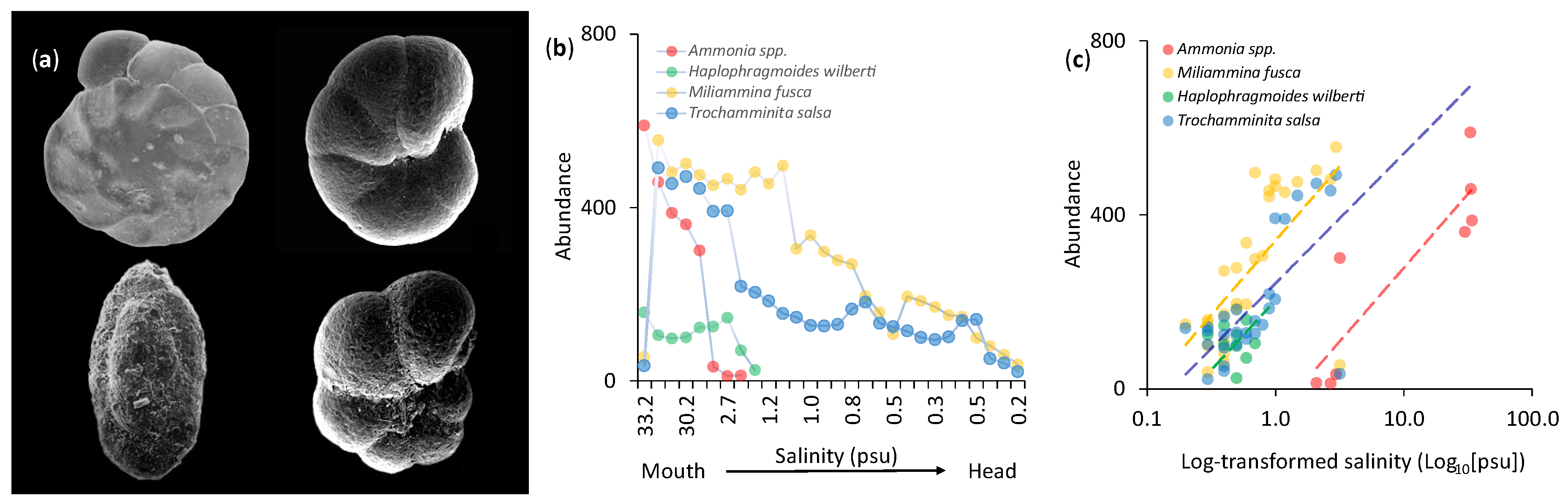 Preprints 142791 g005
