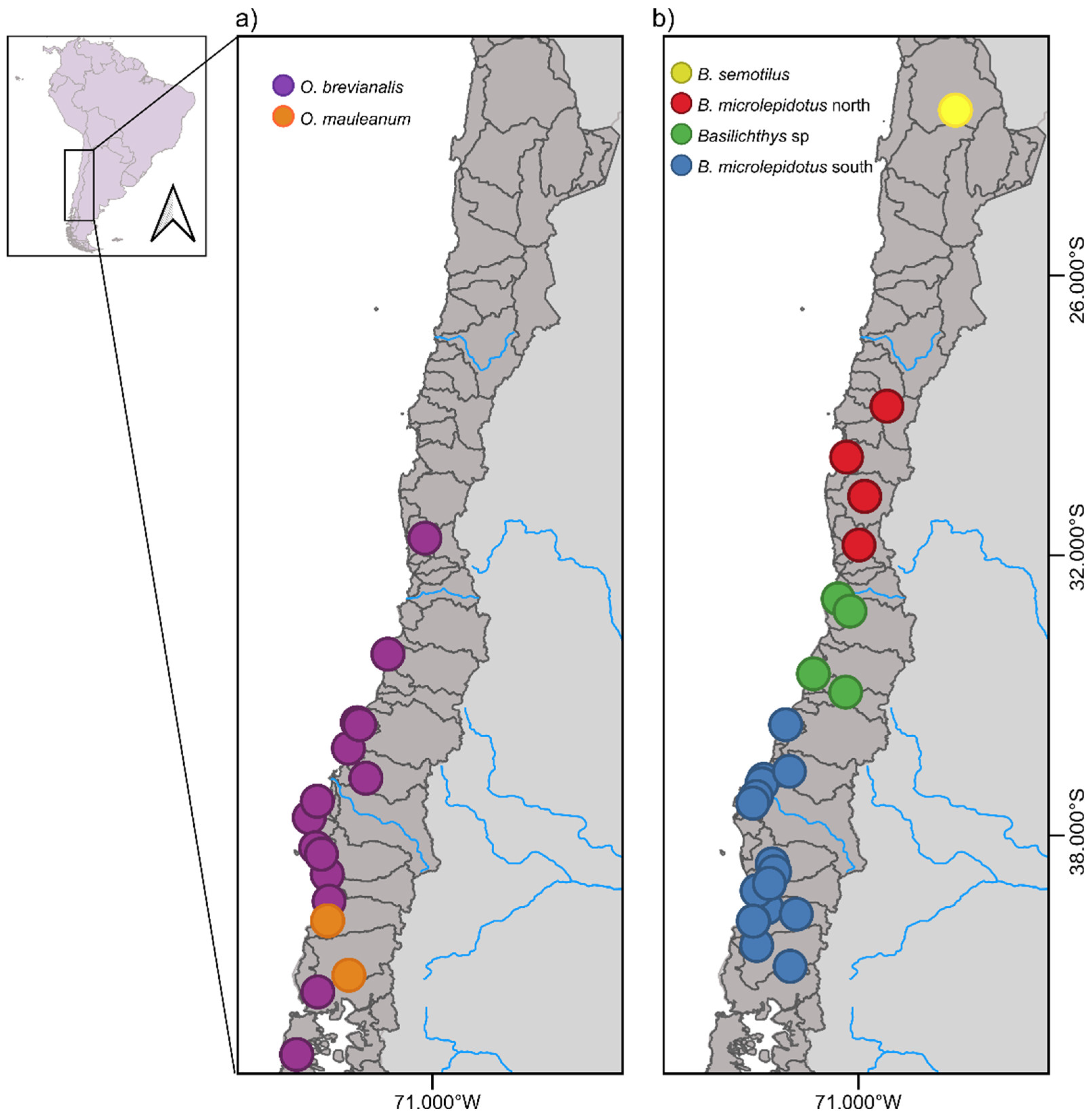 Preprints 154263 g001